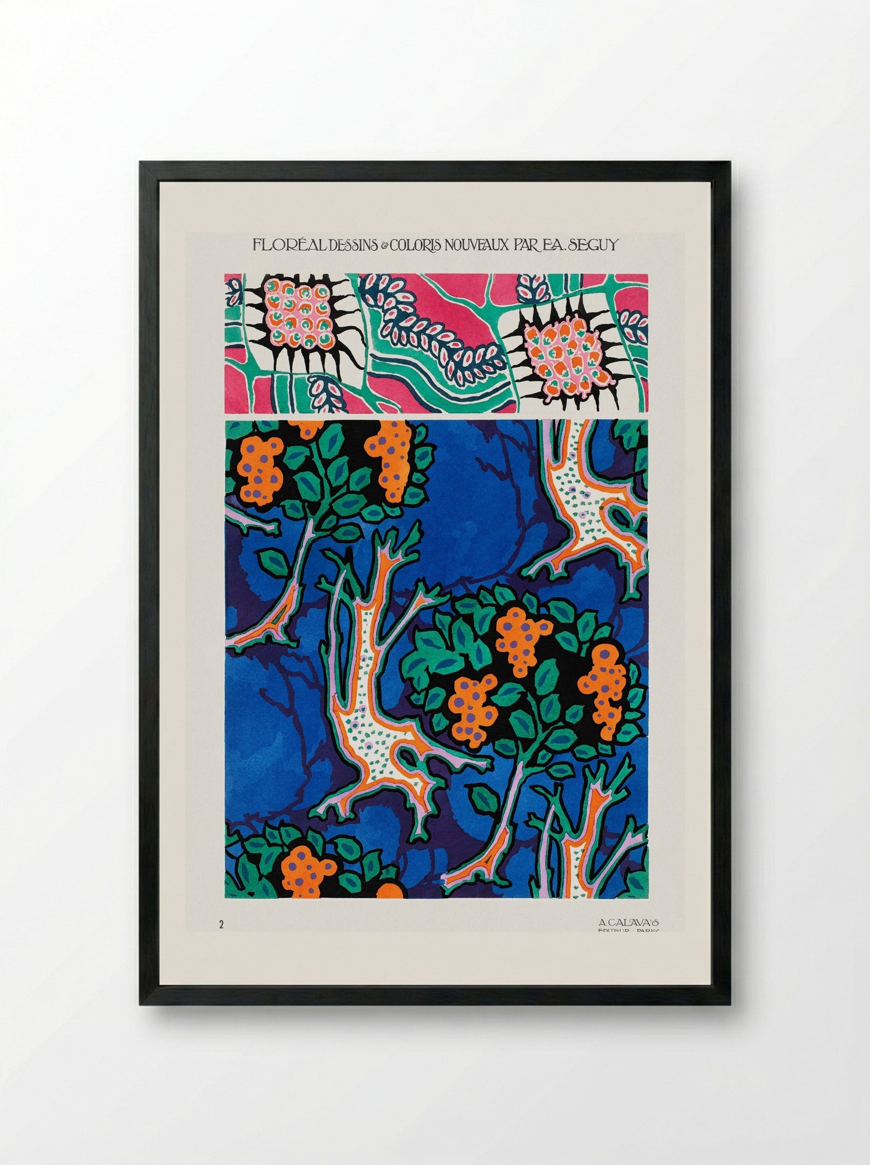 Floral Designs and Colour Schemes (Plate 4) - Émile-Allain Séguy - Framed Print Black