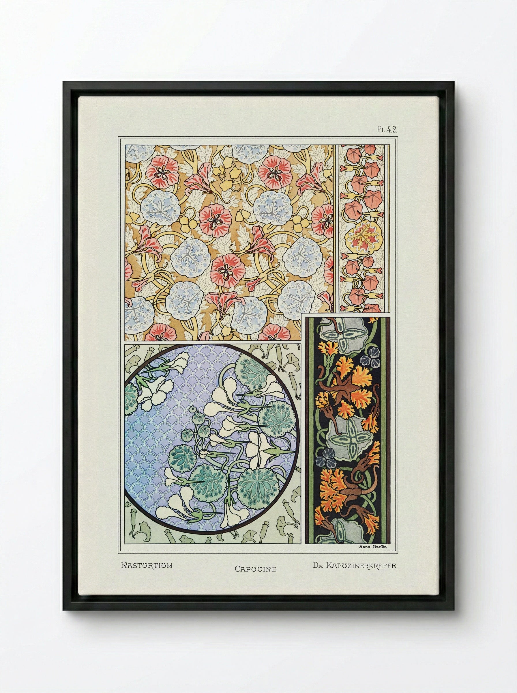 Capucine (Nasturtium) from La Plante et ses Applications ornementales - Maurice Pillard Verneuil - Framed Canvas Black