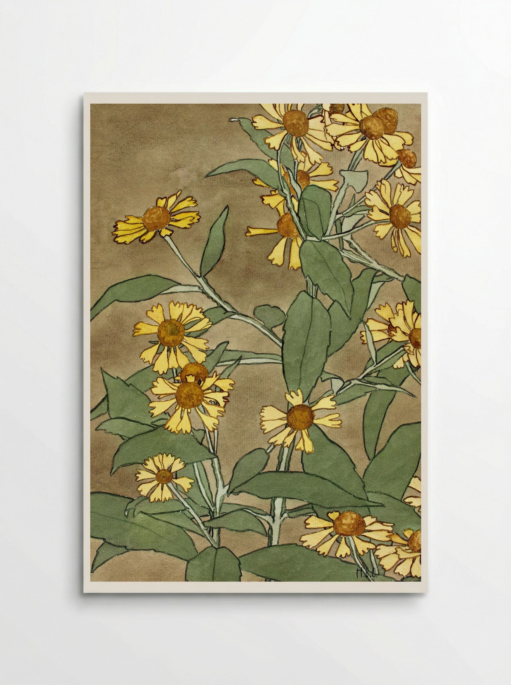 Daisies with Orange Center and Yellow Petals - Hannah Borger Overbeck - Poster