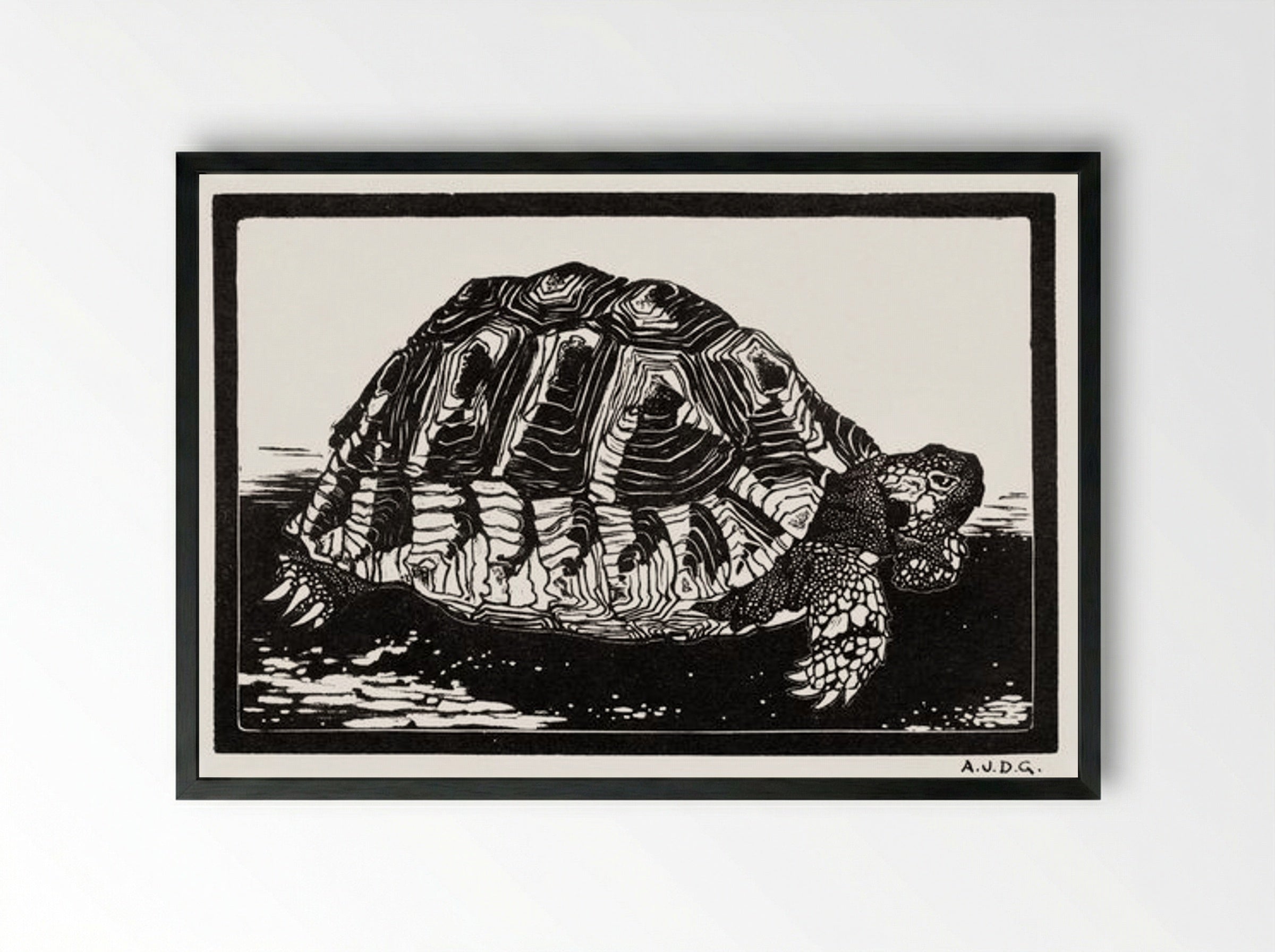 Turtle - Julie de Graag - Framed Print Black