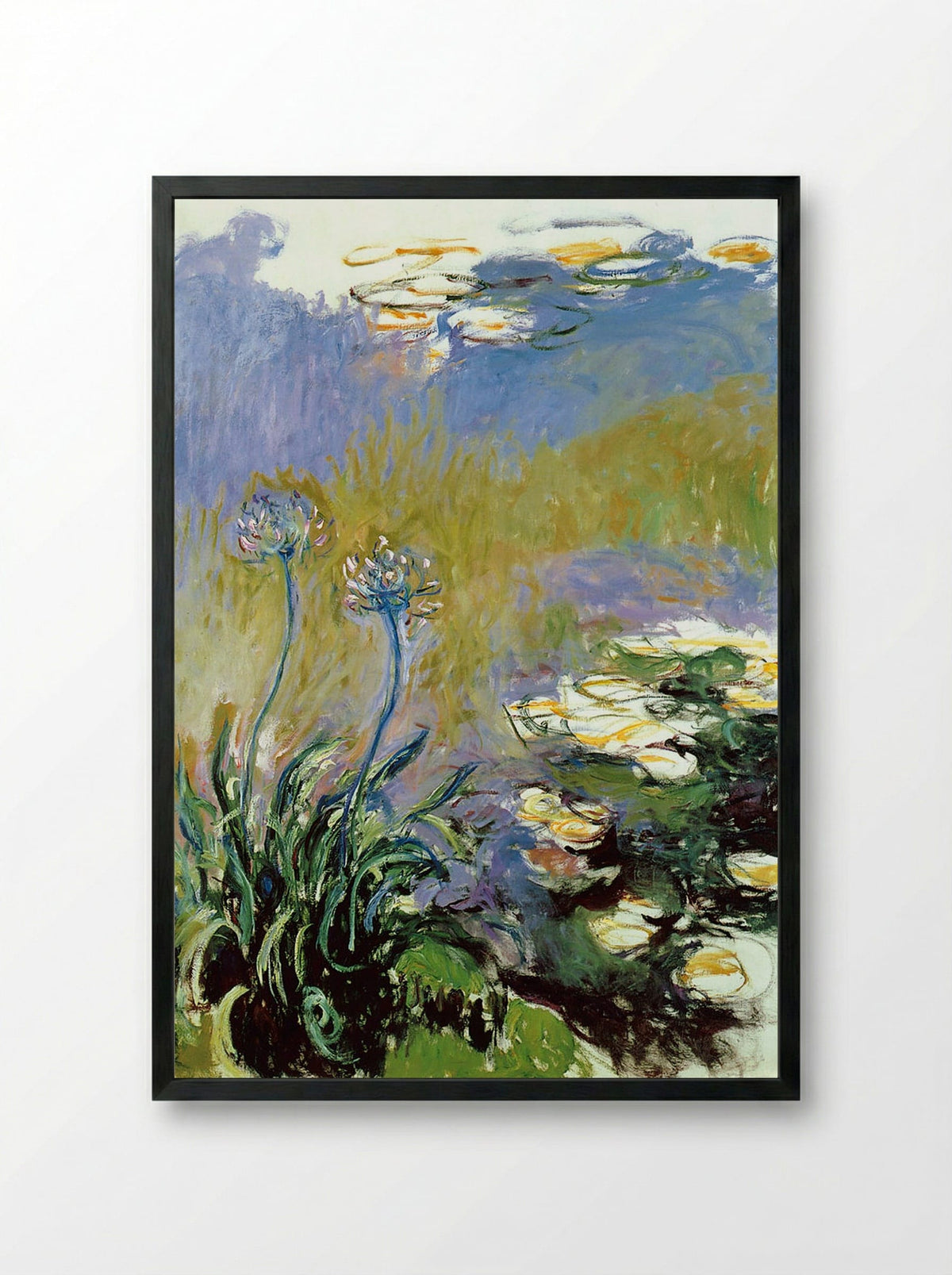 Agapanthus - Claude Monet - Framed Print Black