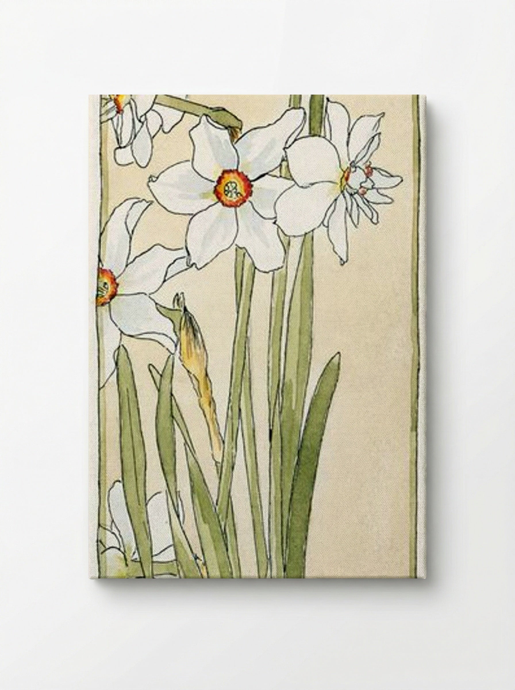 Poet's Narcissus - Hannah Borger Overbeck - Canvas