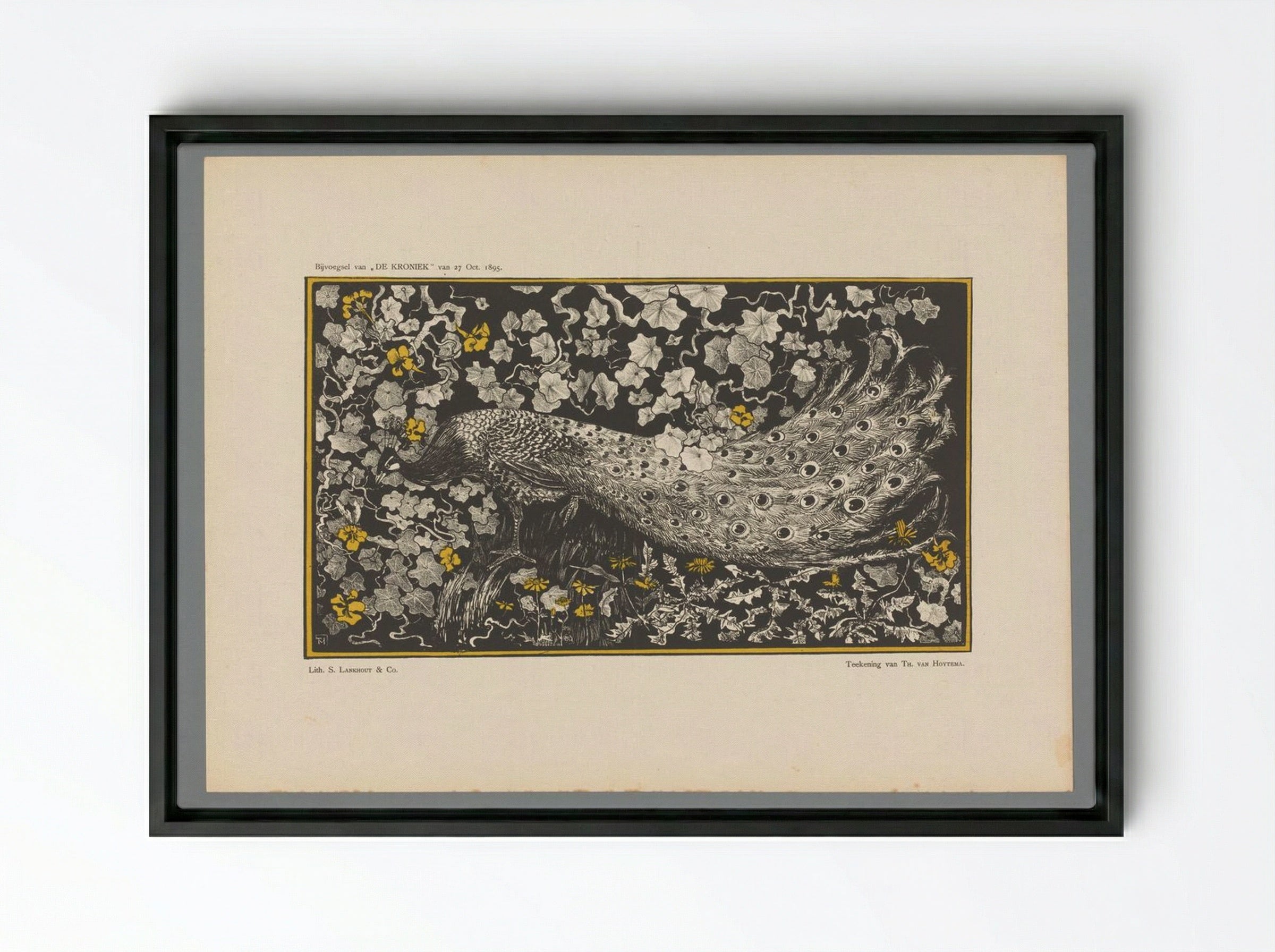 Pauw (Peacock Design) - Theo van Hoytema - Framed Canvas Black