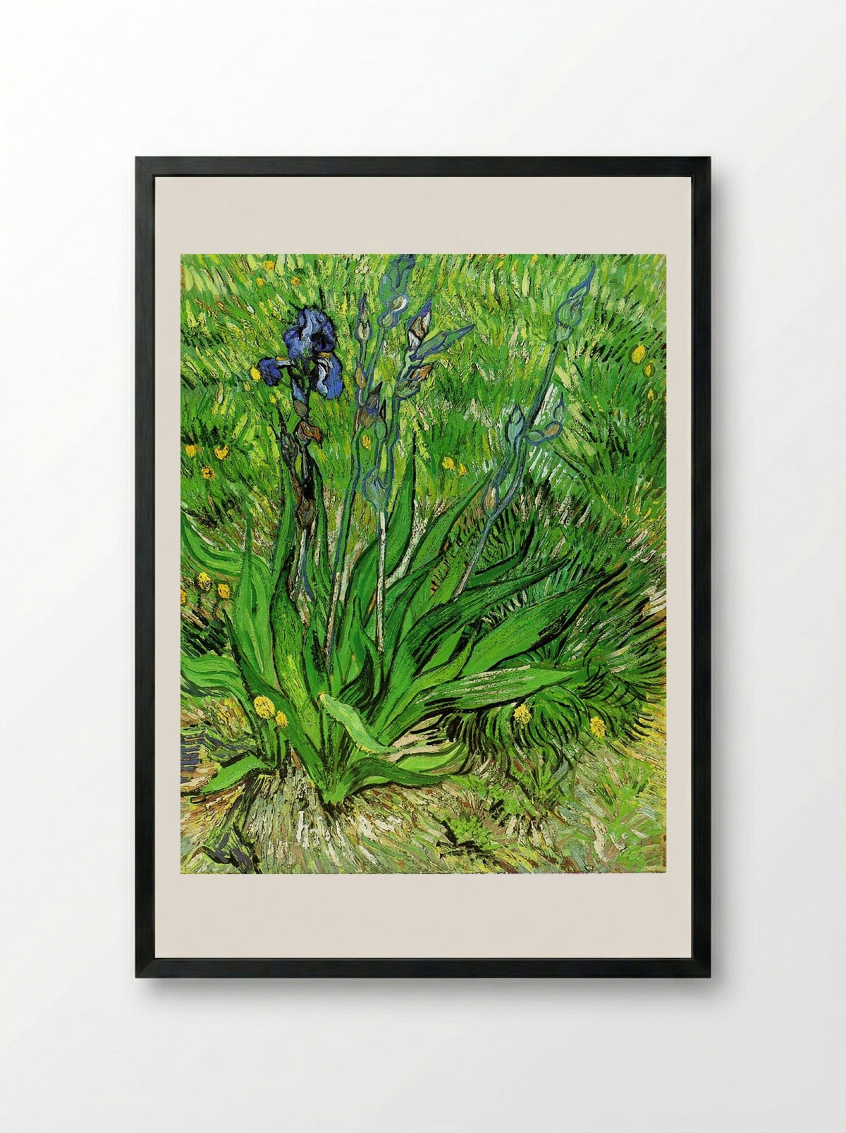 Irises - Vincent van Gogh - Framed Print Black