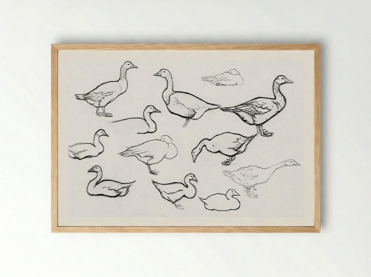 Study of Geese - Julie de Graag - Framed Print Wood