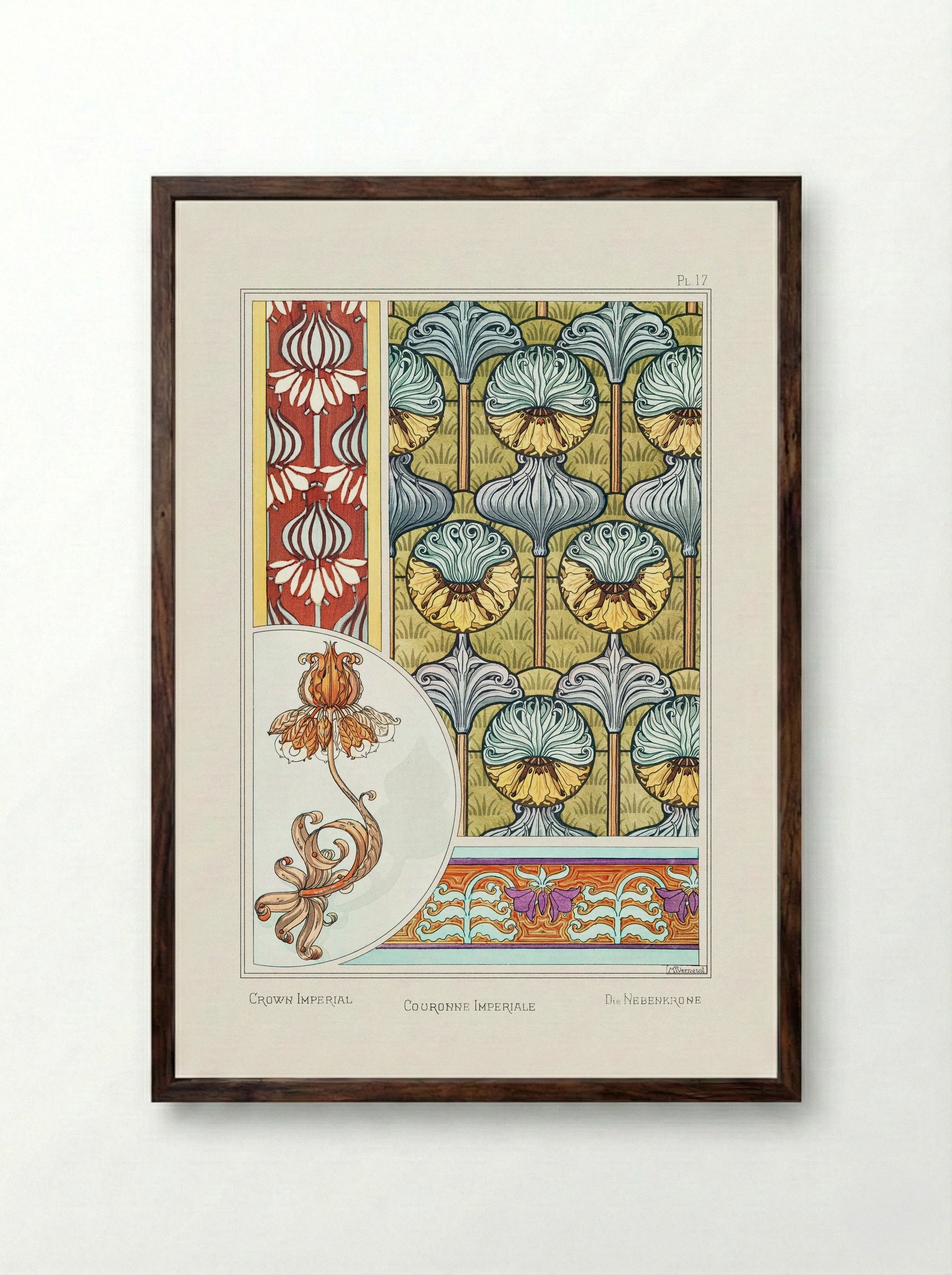 Couronne Impériale (Crown Imperial) from La Plante et ses Applications ornementales - Maurice Pillard Verneuil - Framed Print Dark Wood
