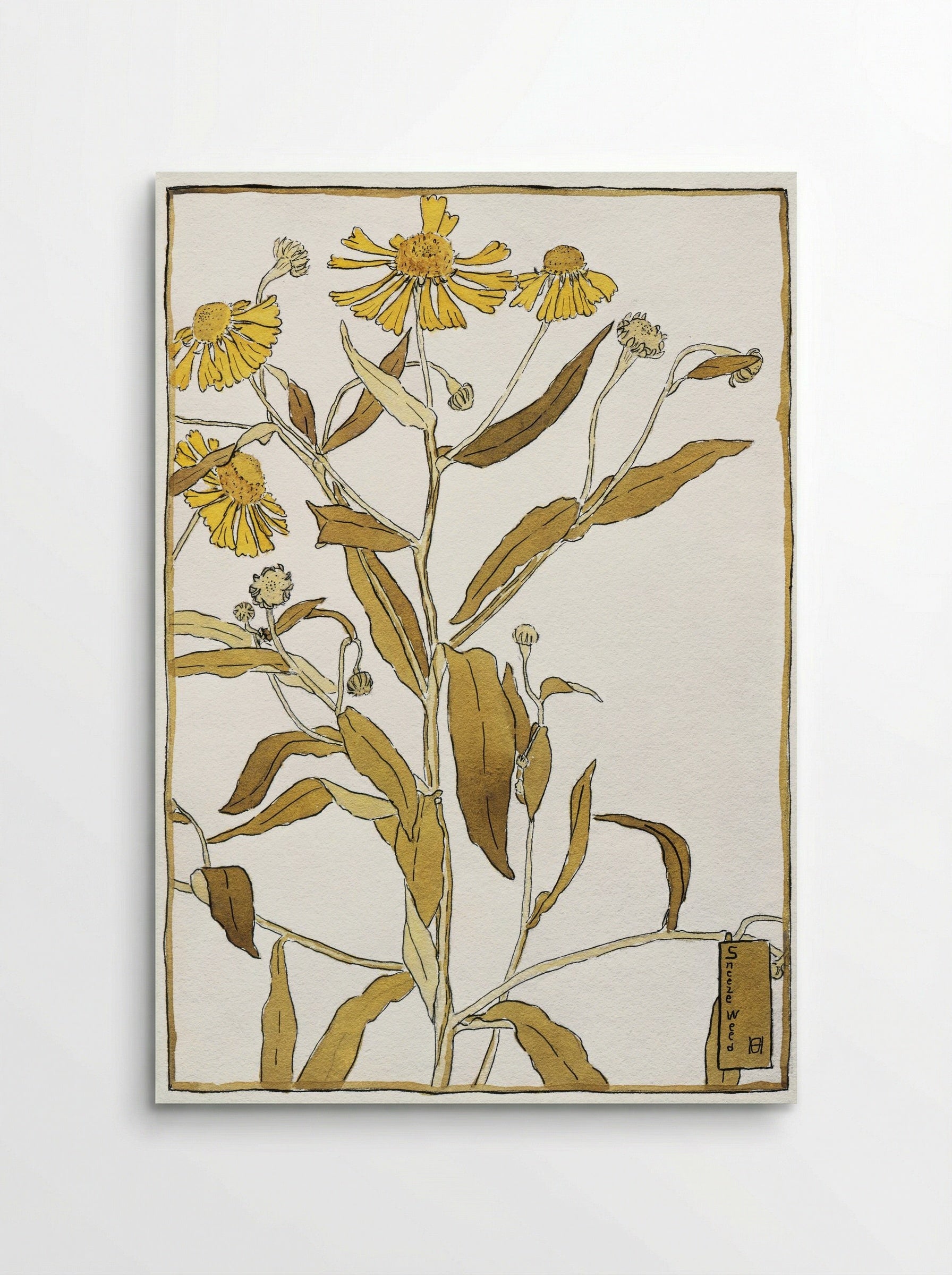 Sneeze weed (1915) - Hannah Borger Overbeck - Poster