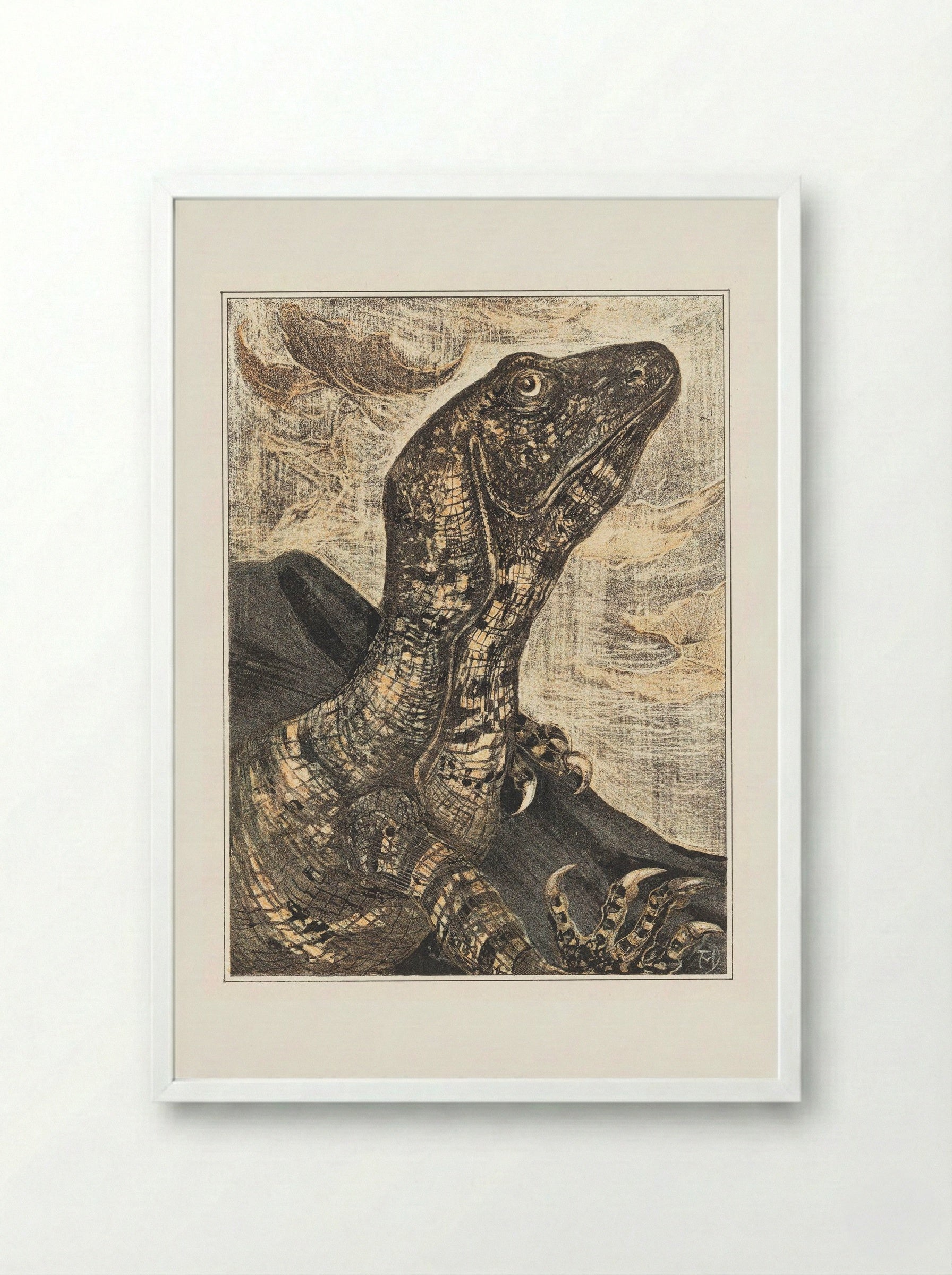 Leguaan (Monitor Lizard) - Theo van Hoytema - Framed Print White