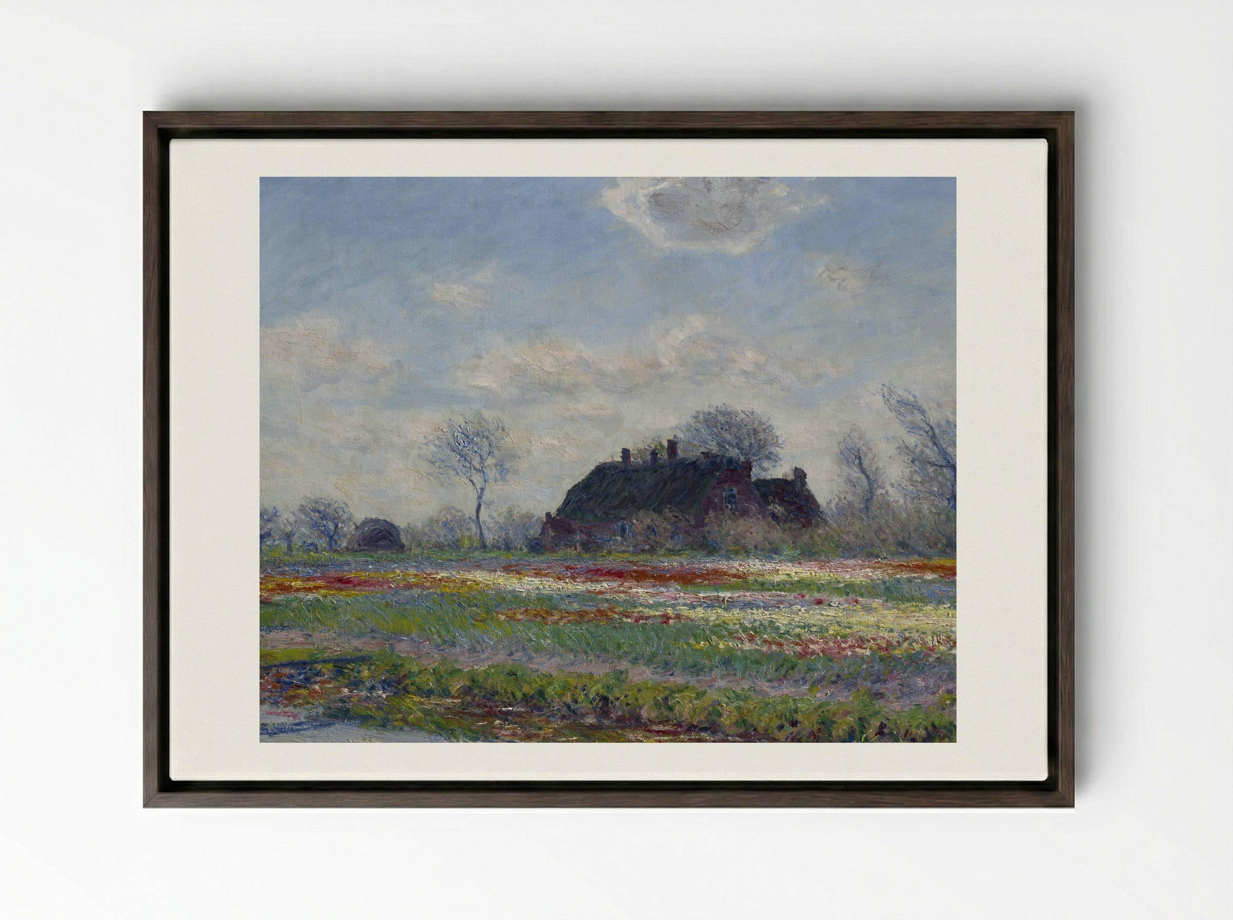 Tulip Fields at Sassenheim - Claude Monet - Framed Canvas Dark Wood