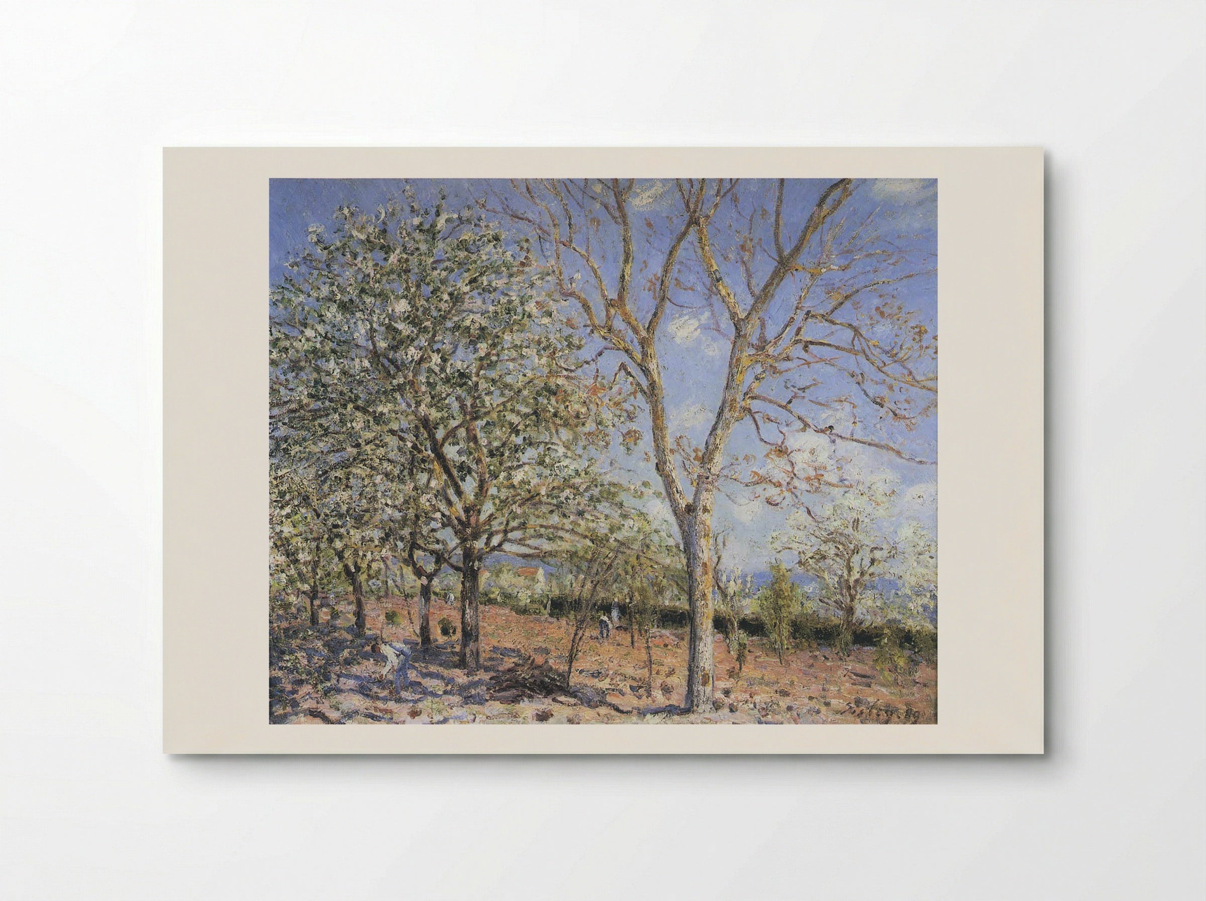 Trees in Bloom - Camille Pissarro - Poster