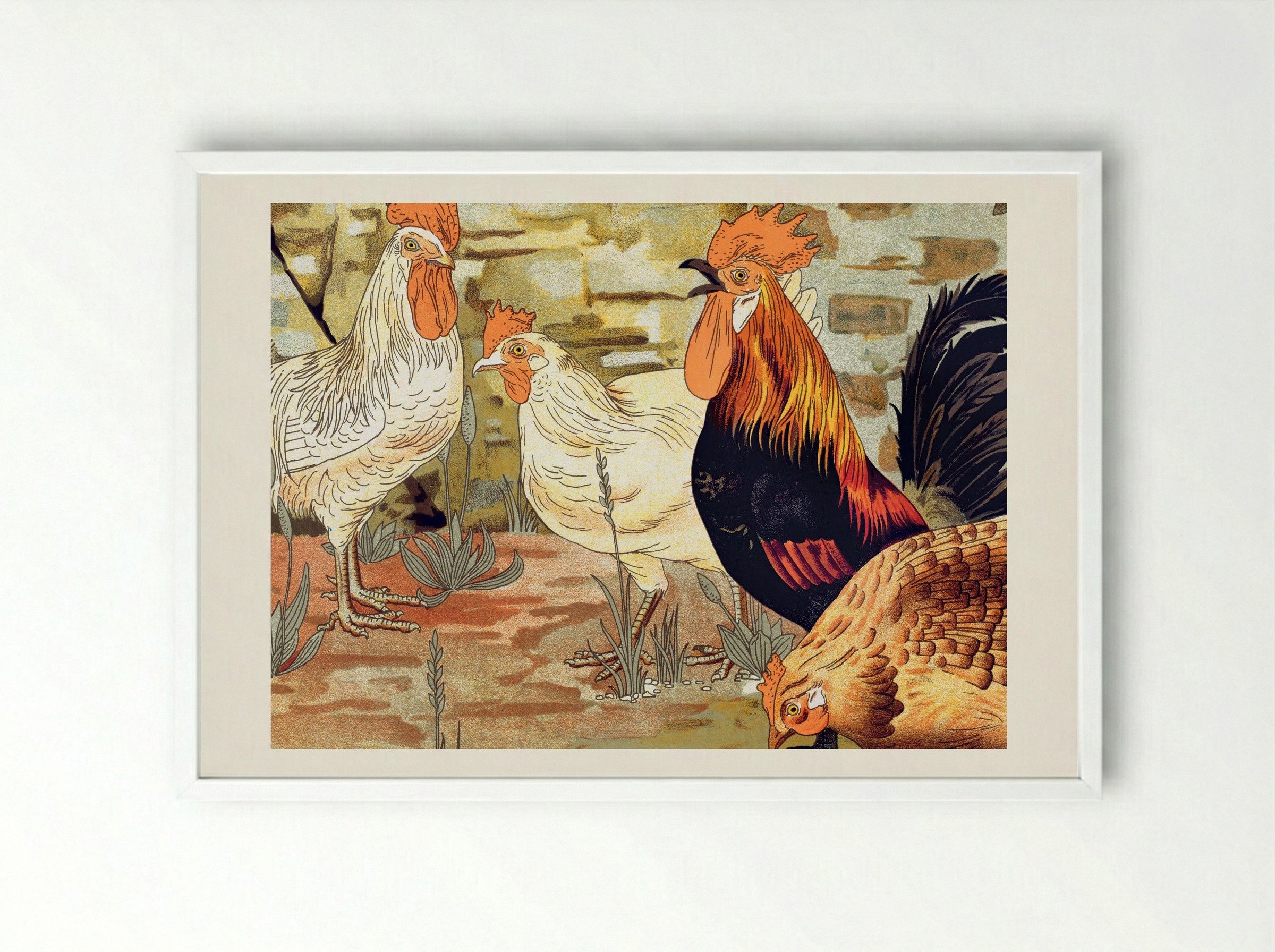 Coqs et Poules (From L'animal dans la décoration) - Maurice Pillard Verneuil - Framed Print White
