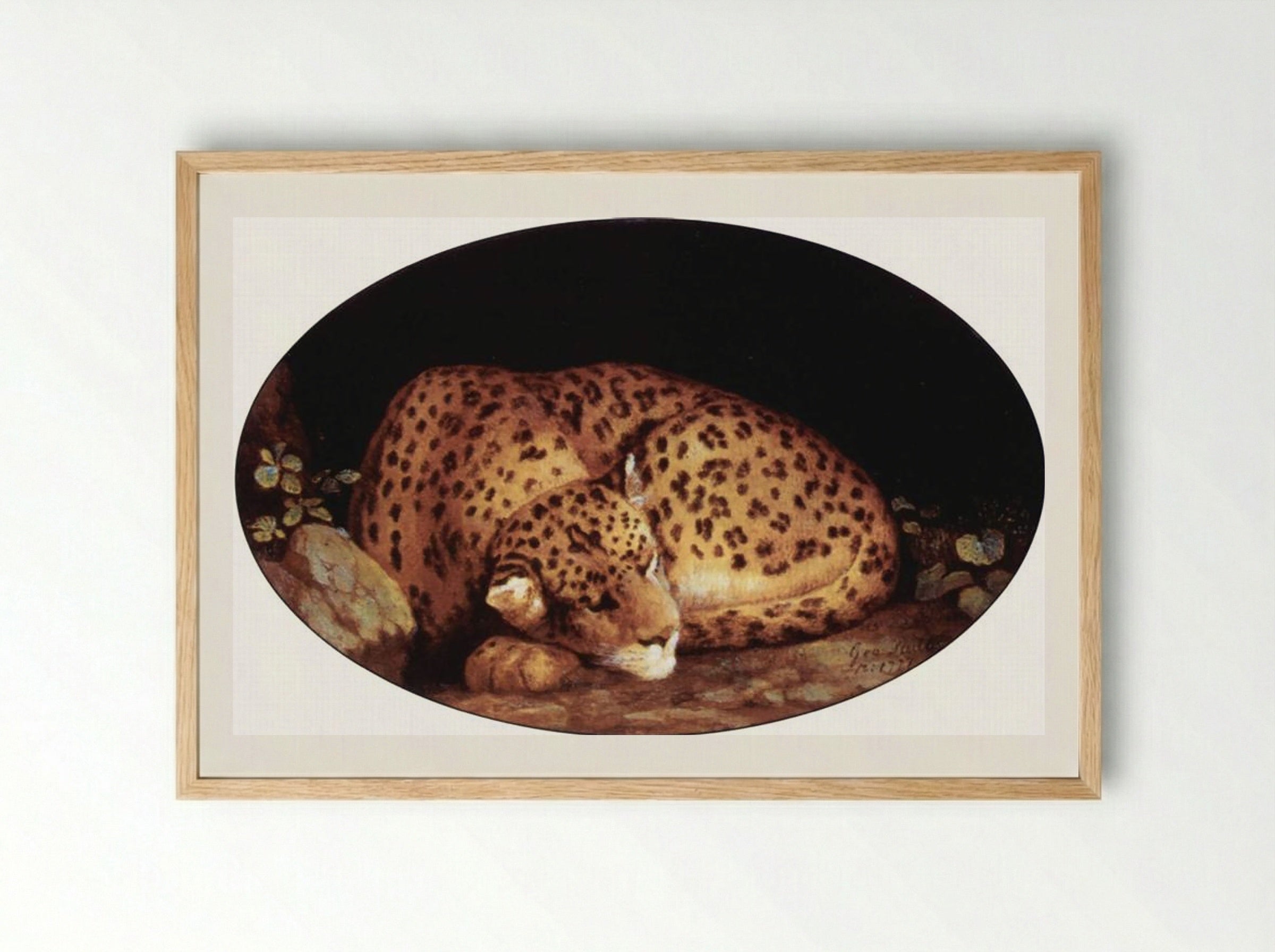 Sleeping Leopard - George Stubbs - Framed Print Wood