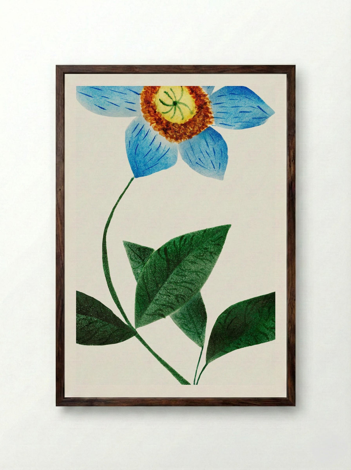 Star Flower - Mary Altha Nims - Framed Print Dark Wood