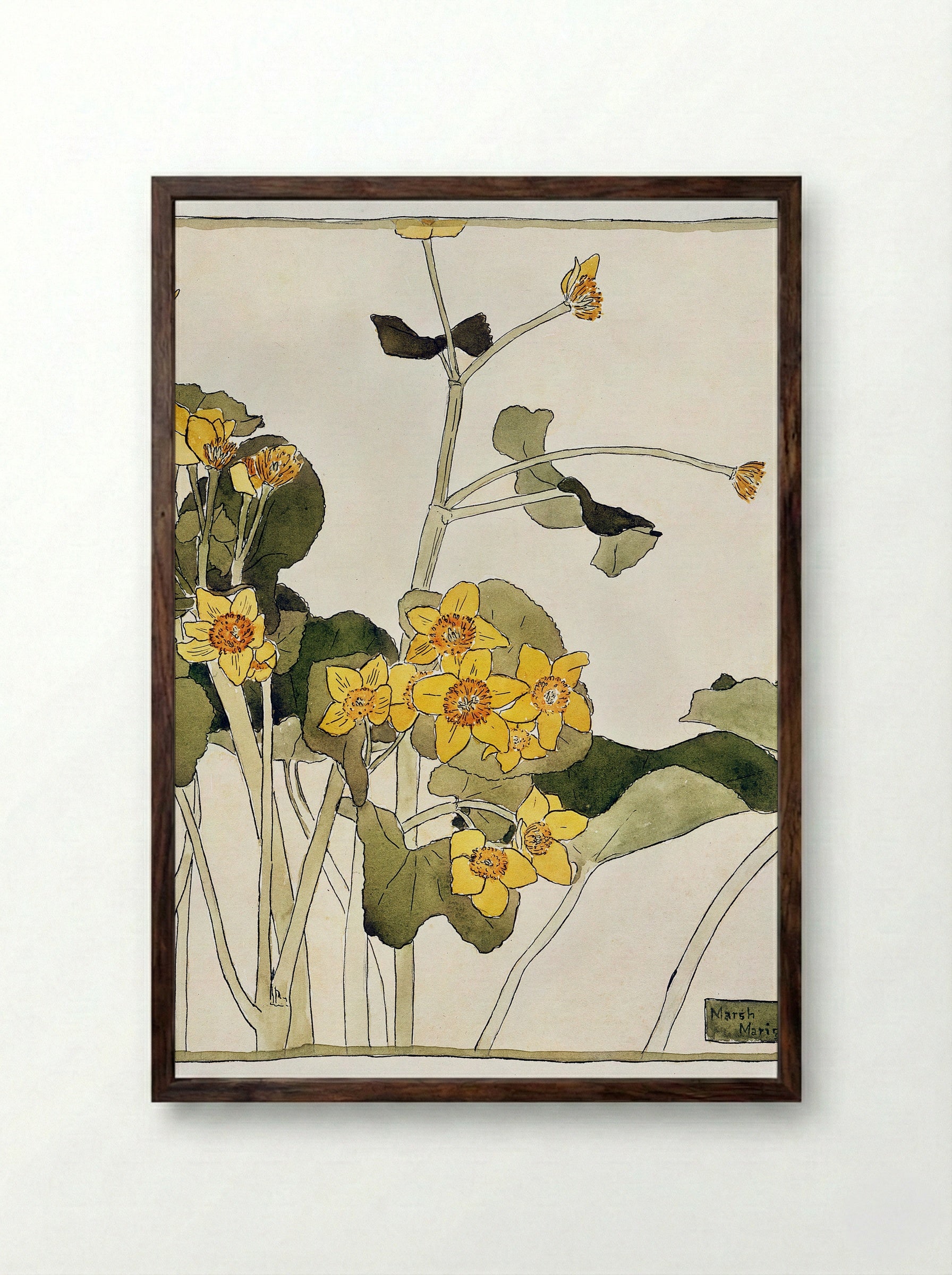Marsh Marigold (1915) - Hannah Borger Overbeck - Framed Print Dark Wood