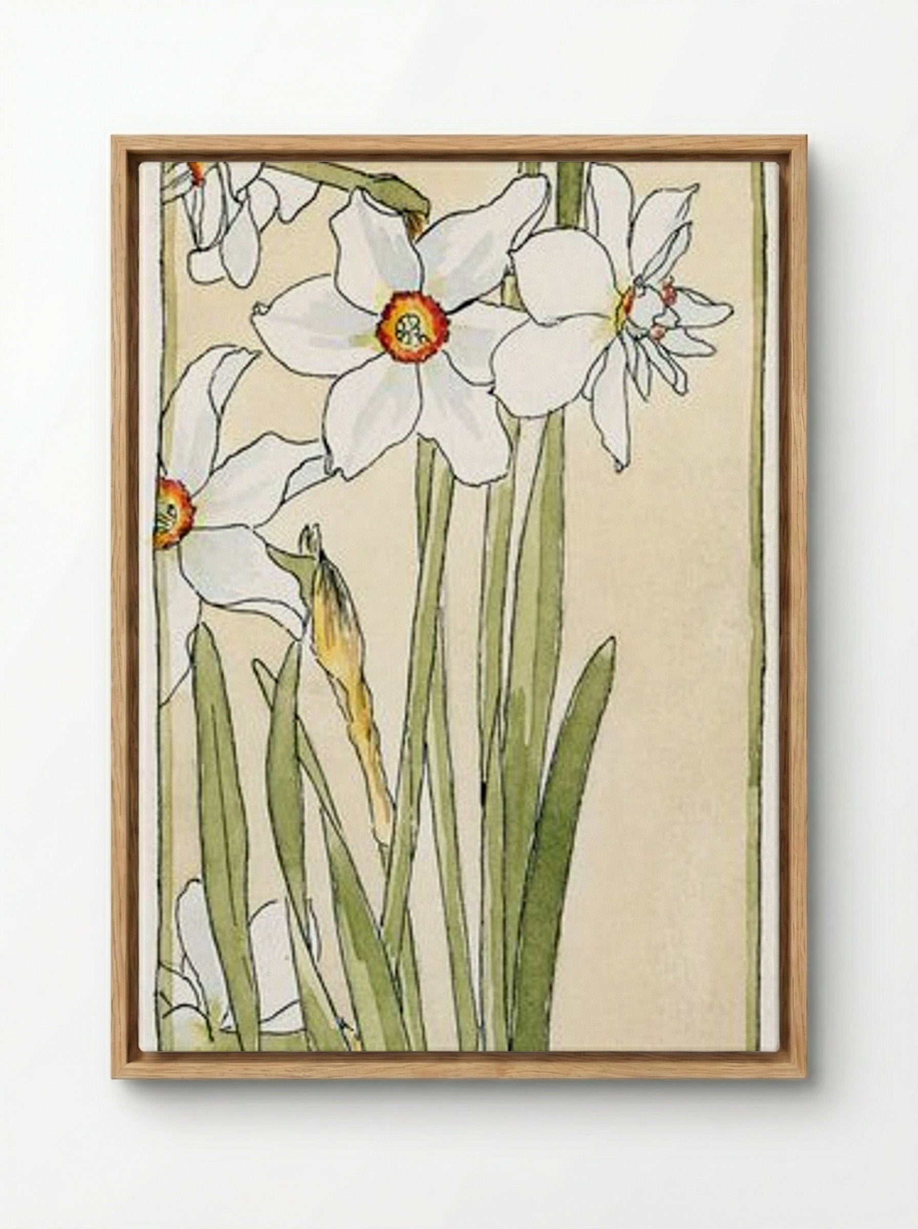 Poet's Narcissus - Hannah Borger Overbeck - Framed Canvas Wood