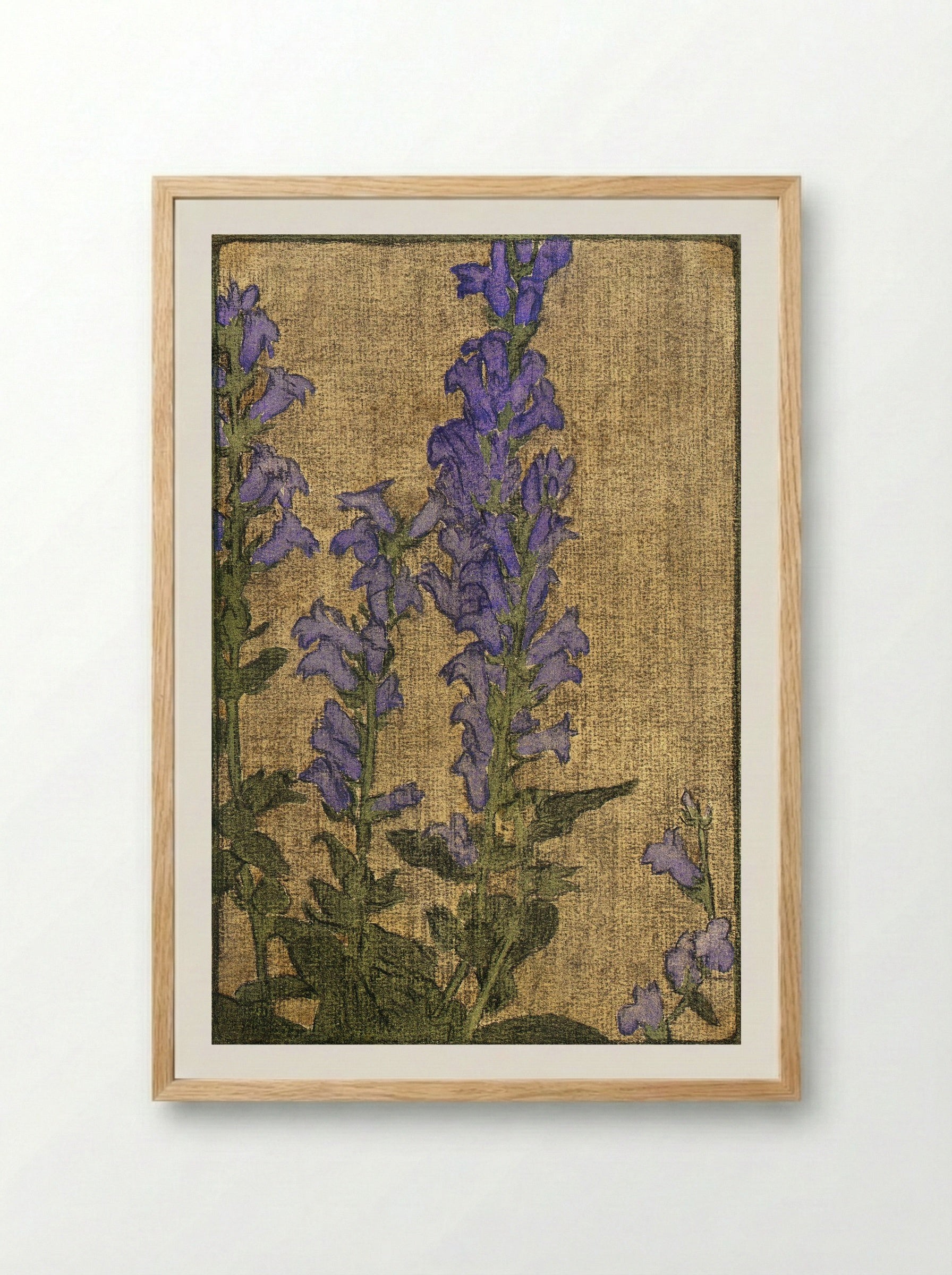 Delphinium (1915) - Hannah Borger Overbeck - Framed Print Wood