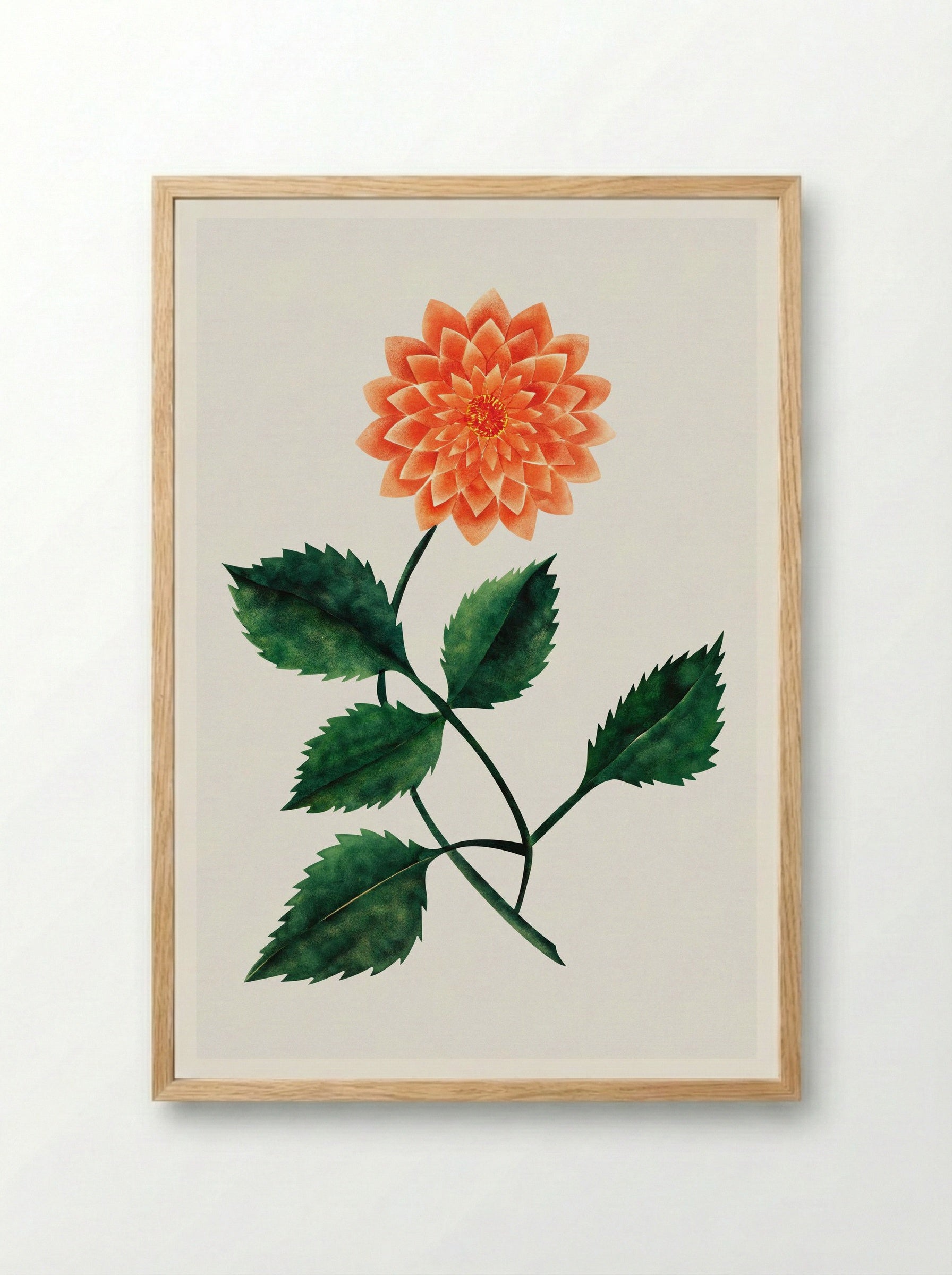 Dahlia - Mary Altha Nims - Framed Print Wood