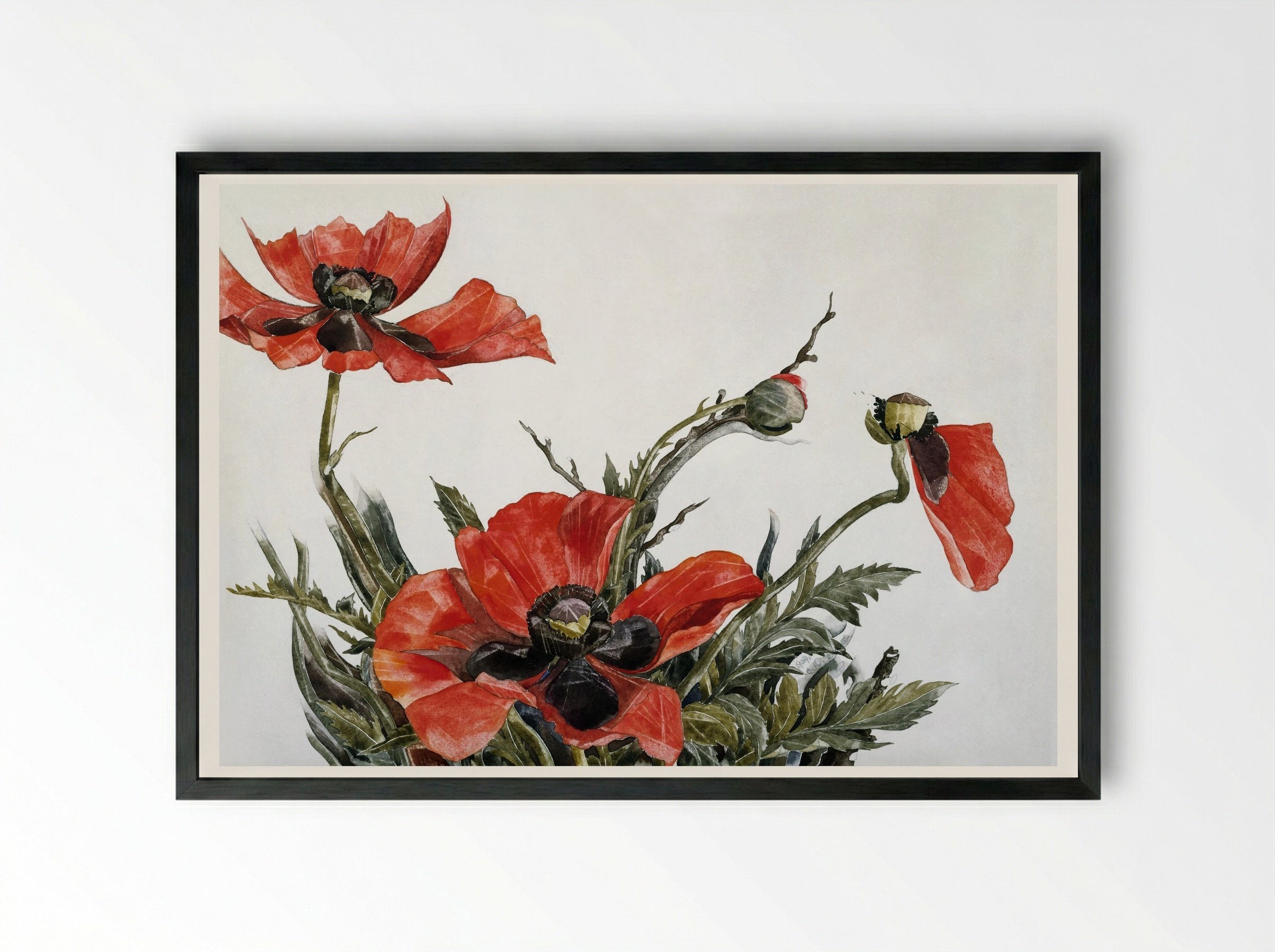 Red Poppies - Charles Demuth - Framed Print Black