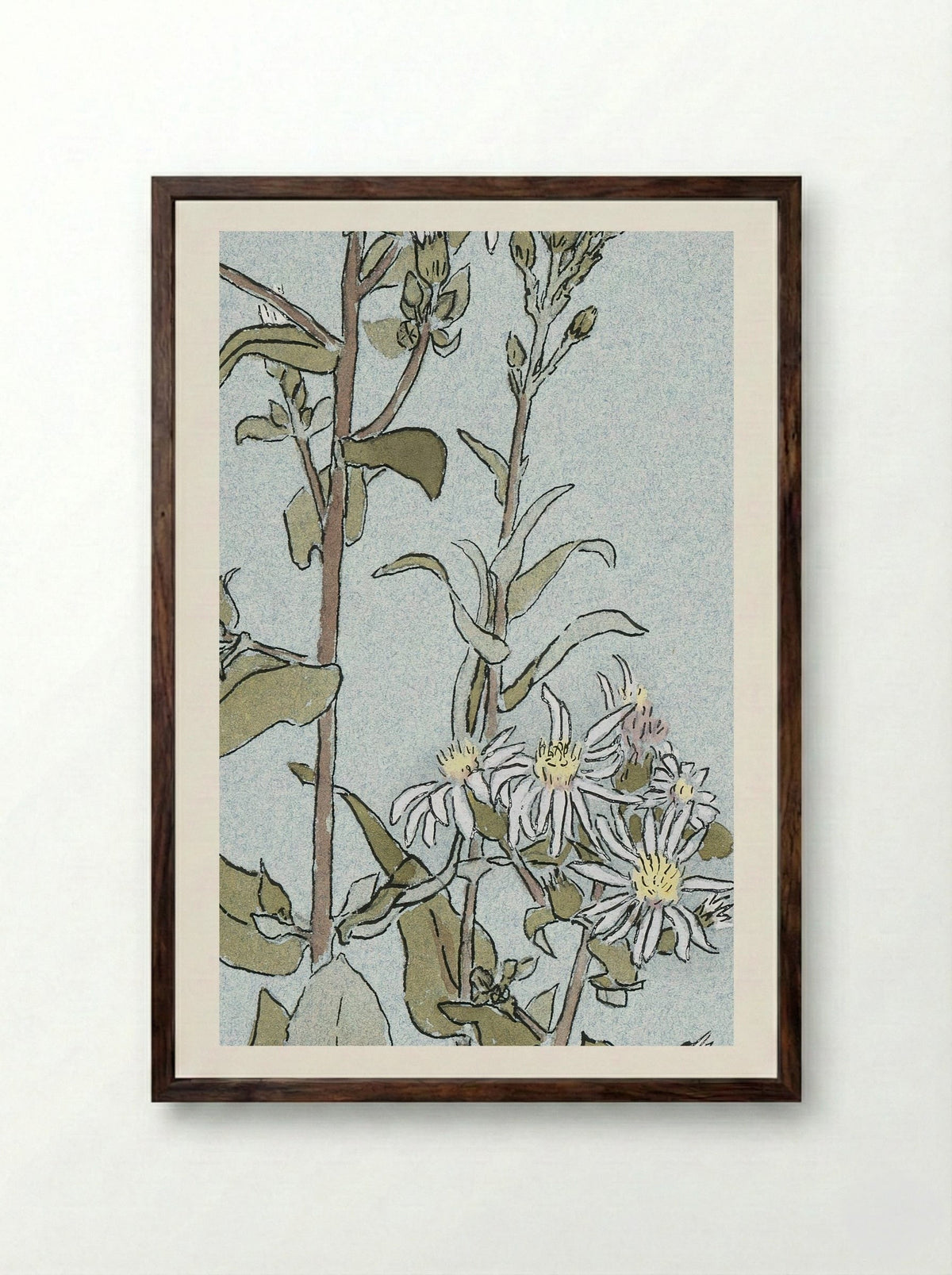 Aster (1915) - Hannah Borger Overbeck - Framed Print Dark Wood