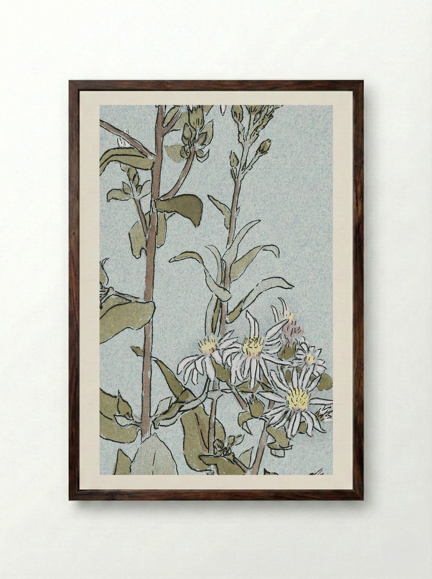 Aster (1915) - Hannah Borger Overbeck - Framed Print Dark Wood