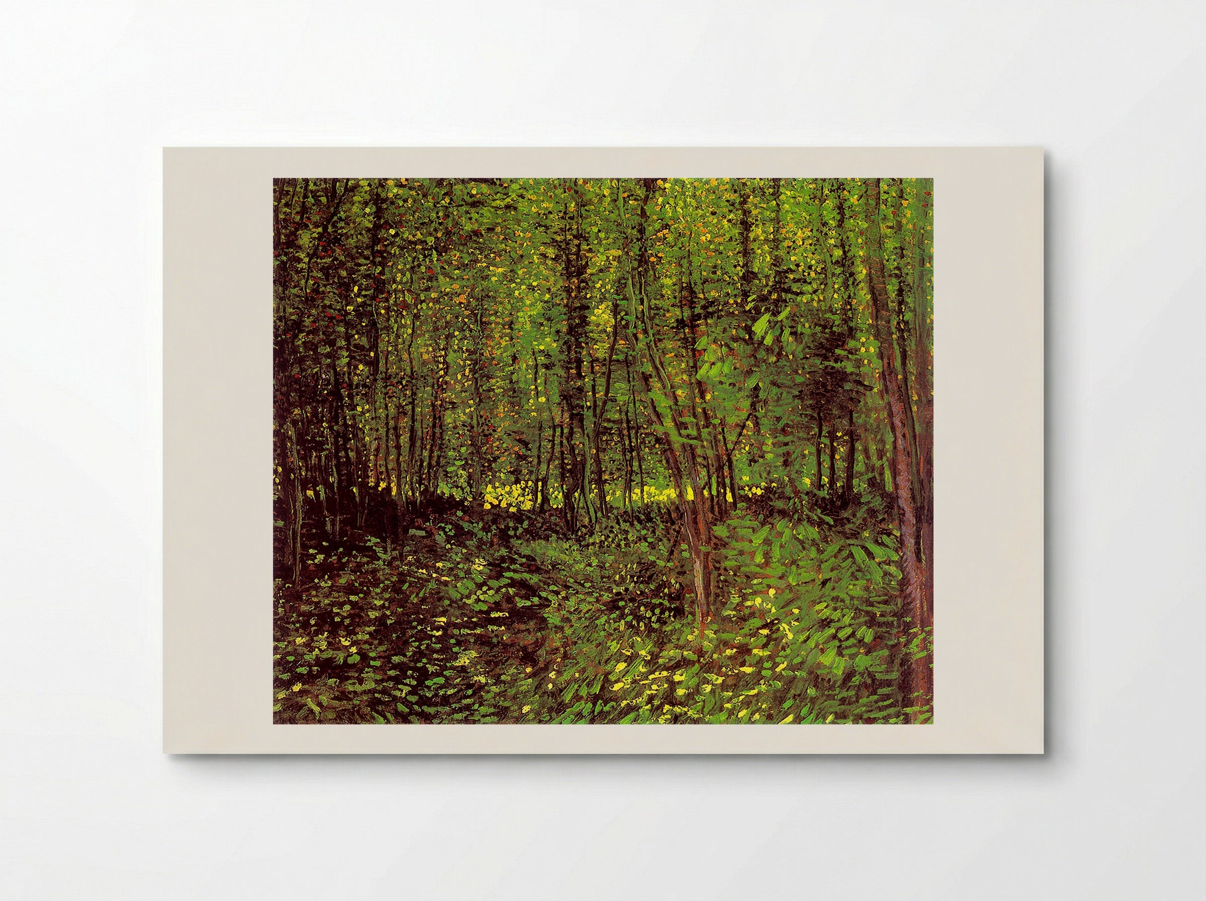 Trees and Undergrowth - Vincent van Gogh - Poster