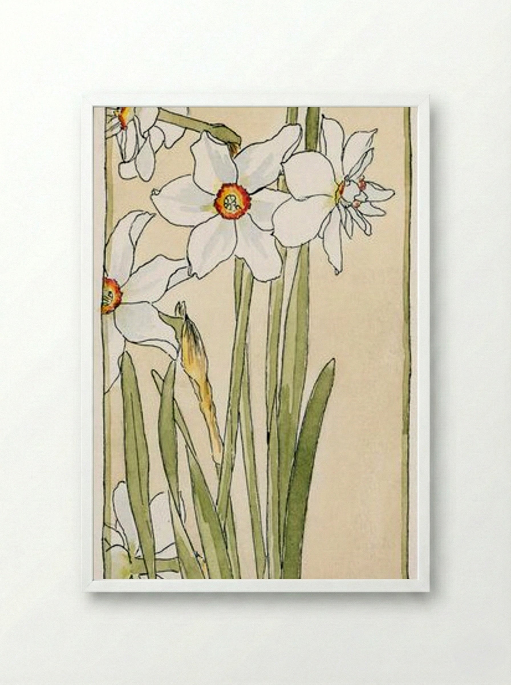 Poet's Narcissus - Hannah Borger Overbeck - Framed Print White