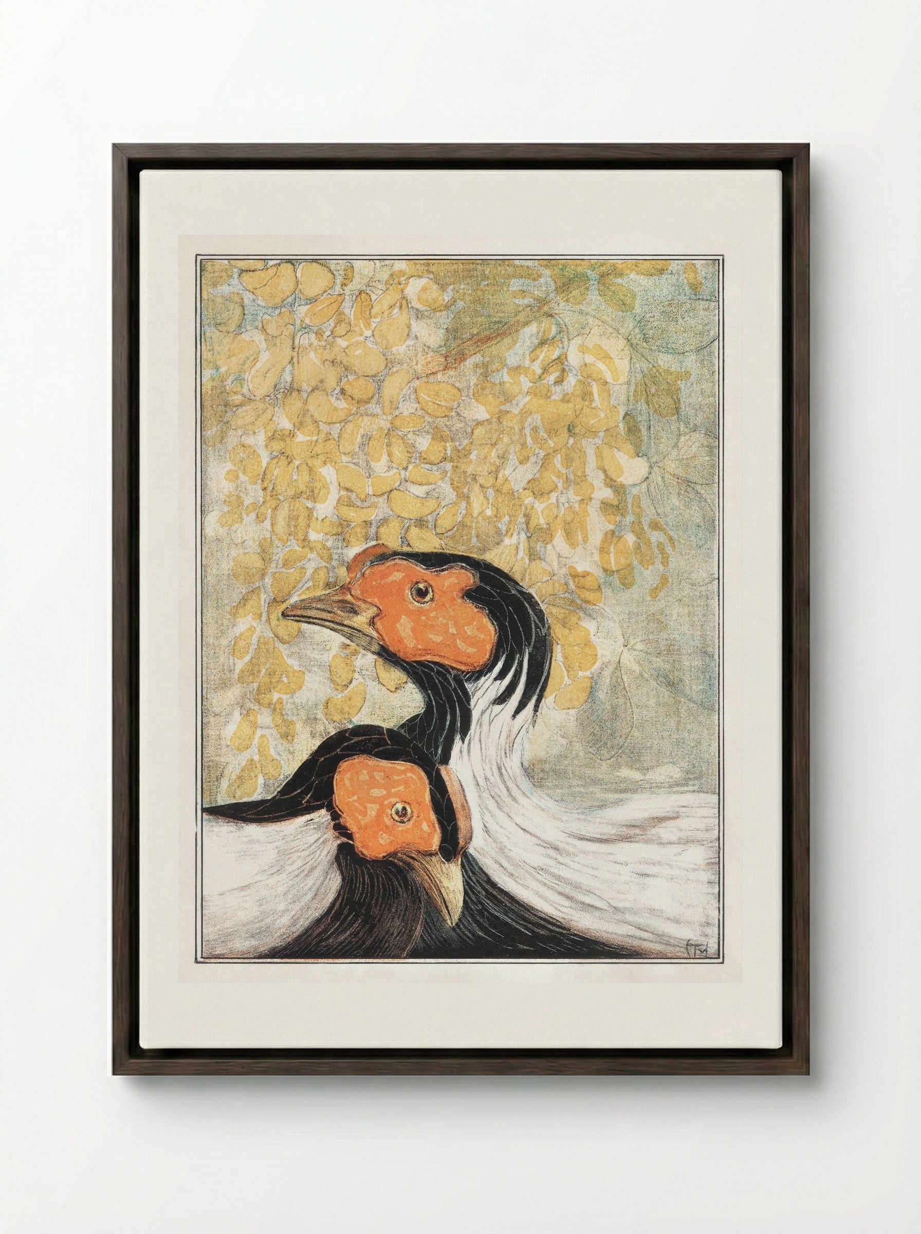 Two Silver Pheasants - Theo van Hoytema - Framed Canvas Dark Wood