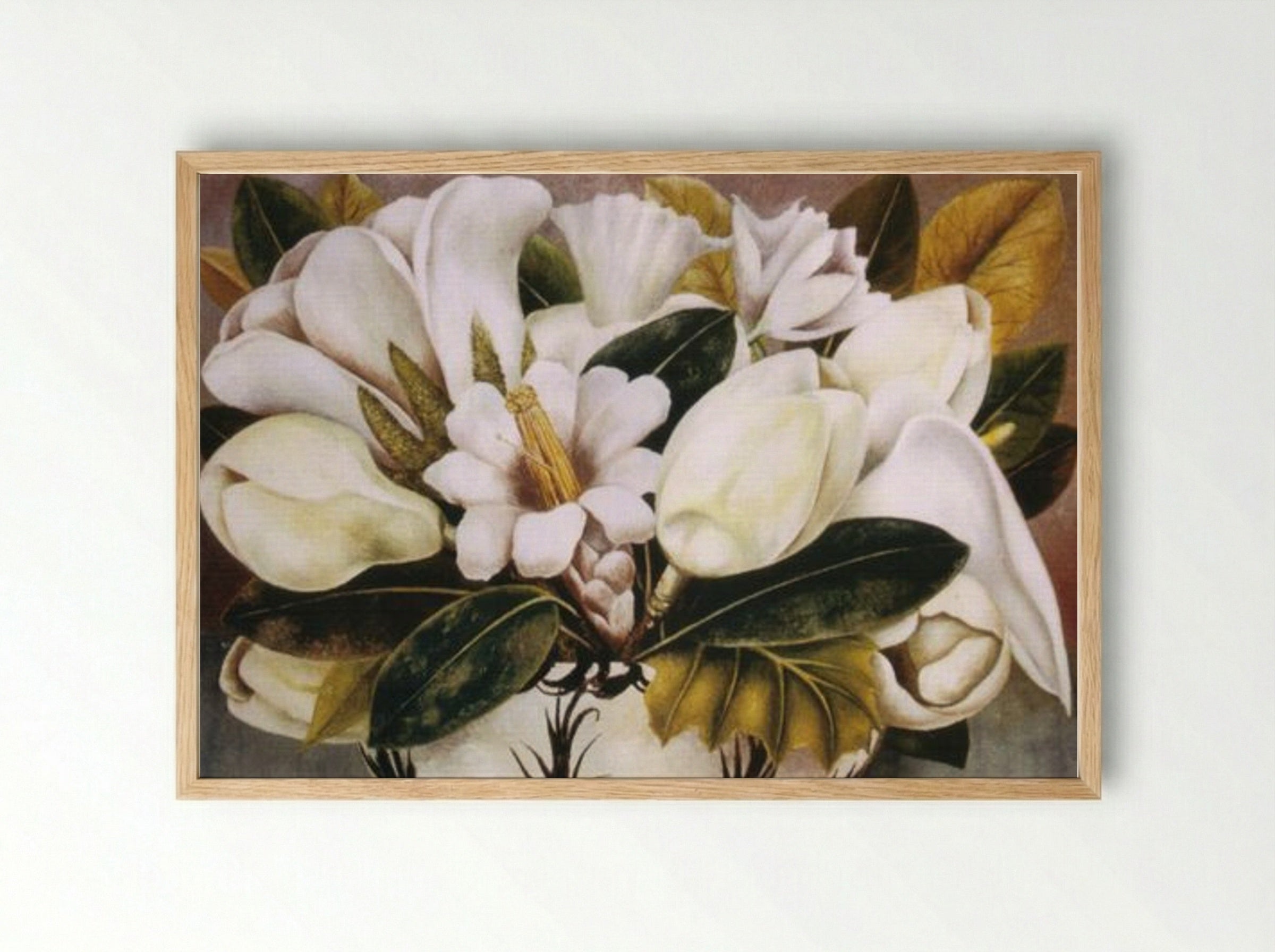 Magnolias - Vida Kullberg - Framed Print Wood