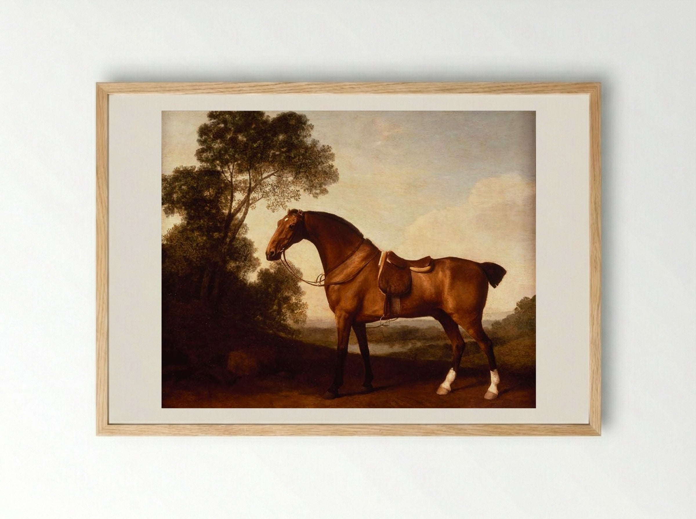 A Saddled Bay Hunter - George Stubbs - Framed Print Wood