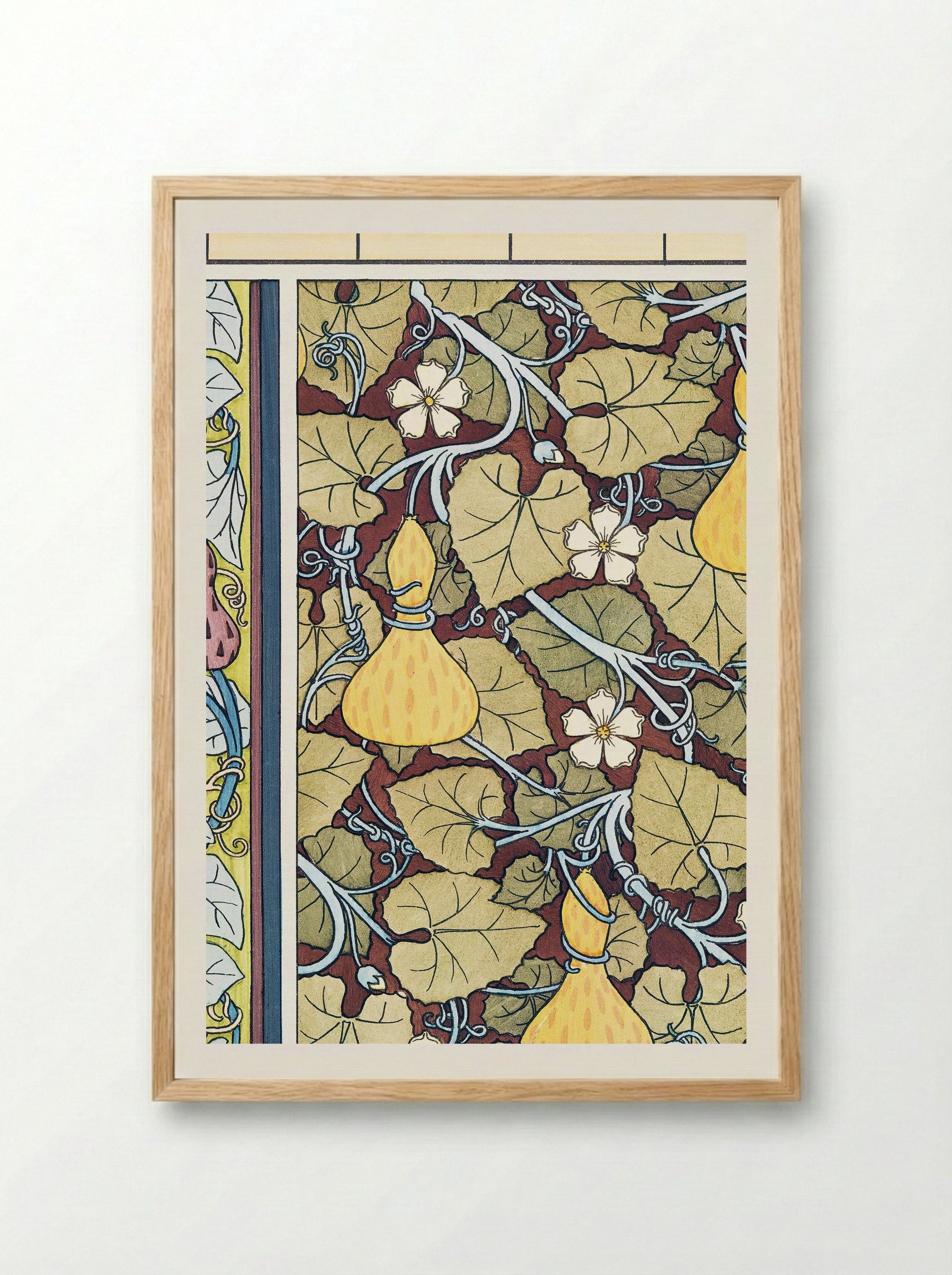 Courge (White-Flowered Gourd, from La Plante et ses Applications ornementales) - Maurice Pillard Verneuil - Framed Print Wood