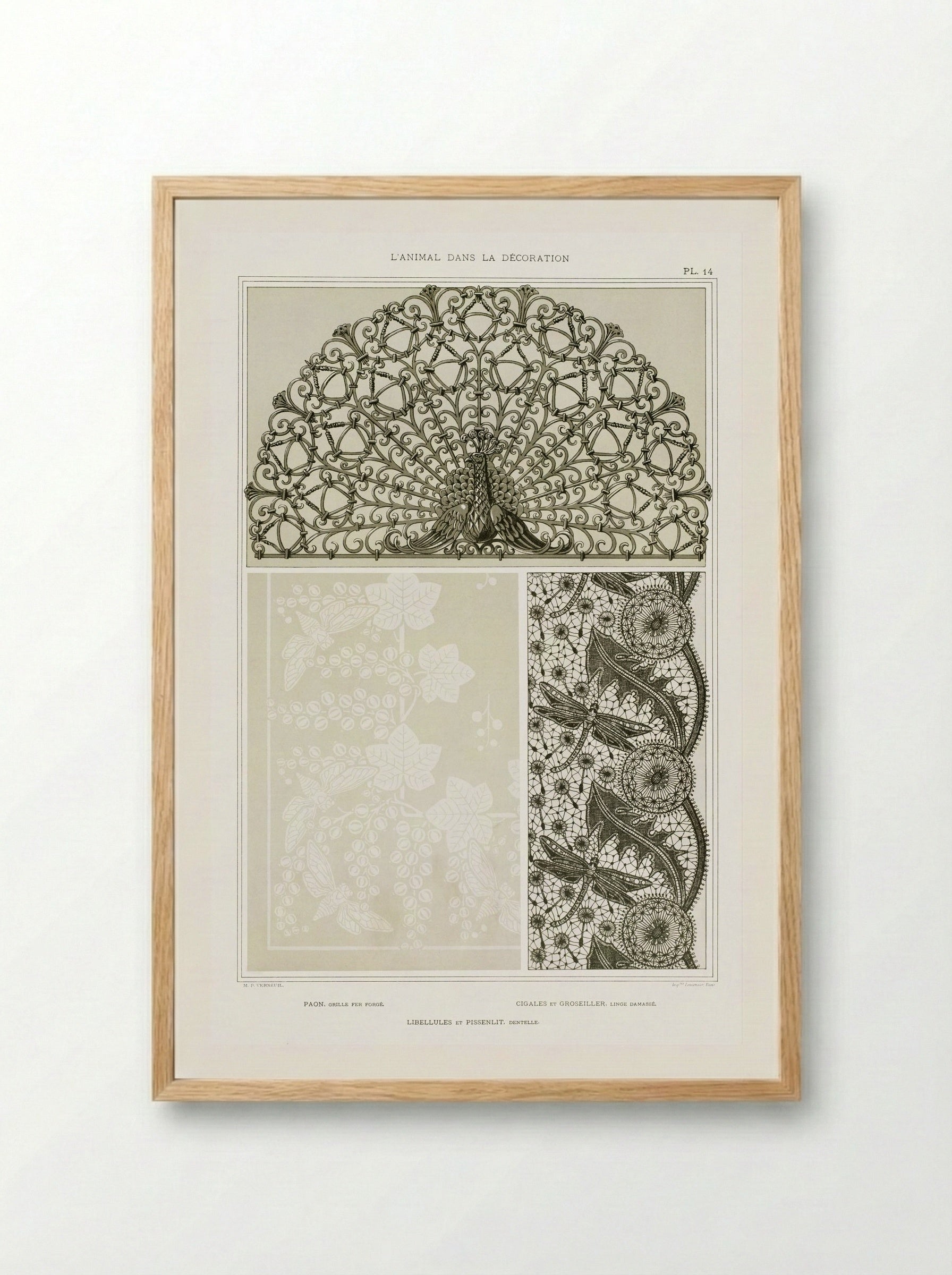 L'Animal dans la Décoration, Plate 14 (Peacock, Cicadas, Dragonflies) - Maurice Pillard Verneuil - Framed Print Wood