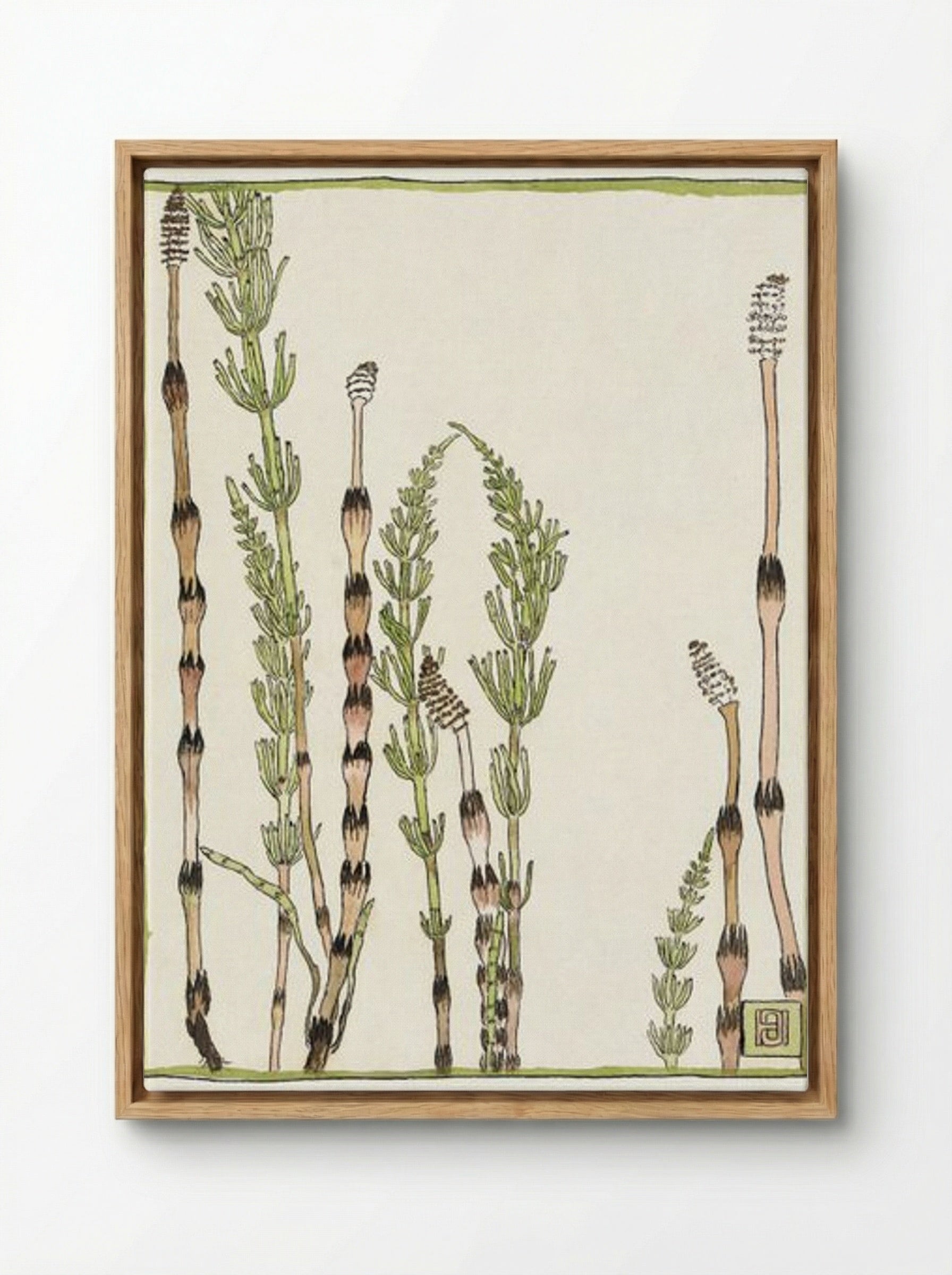 Horsetail - Hannah Borger Overbeck - Framed Canvas Wood