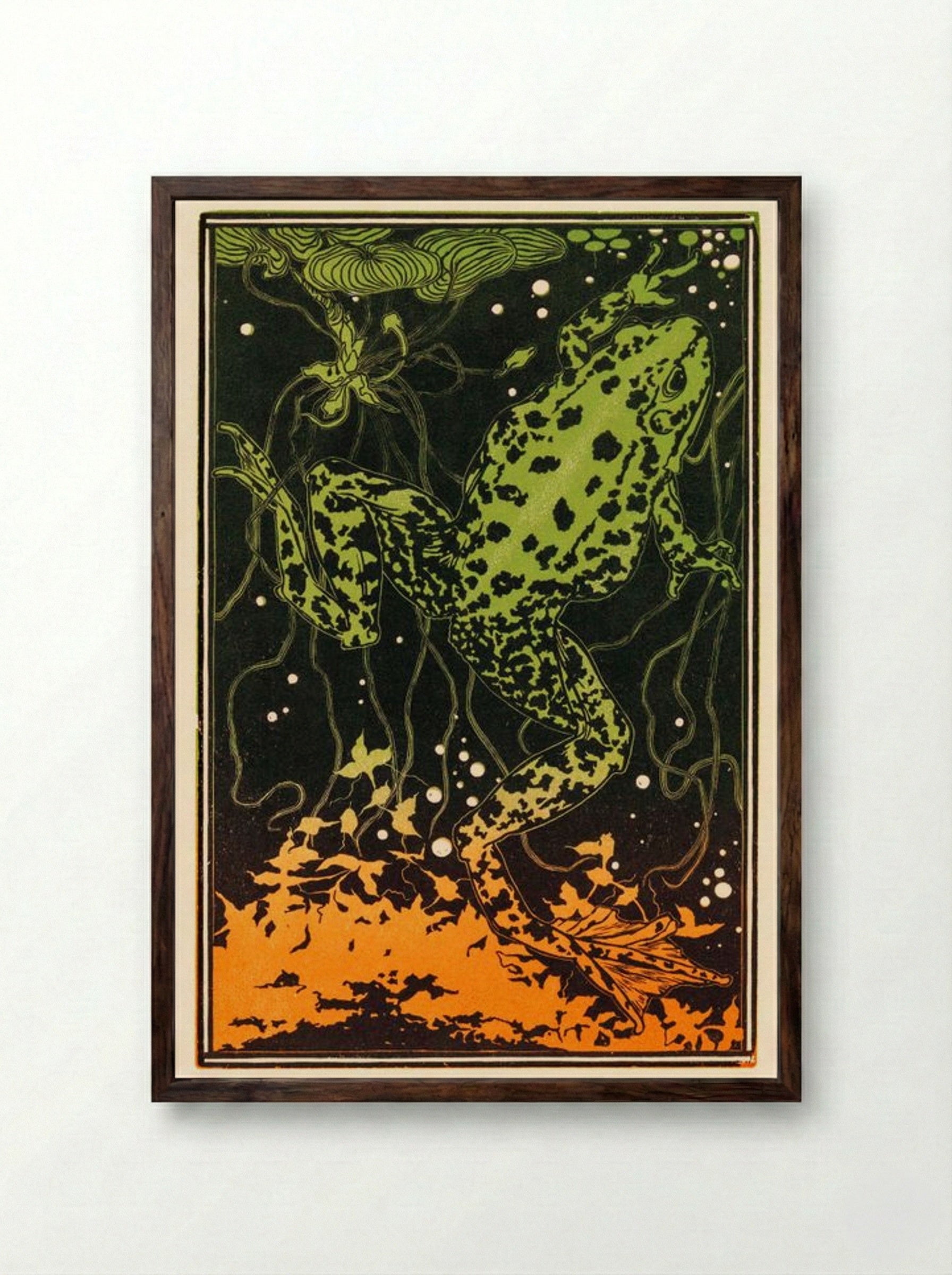 Swimming Frog - Julie de Graag - Framed Print Dark Wood