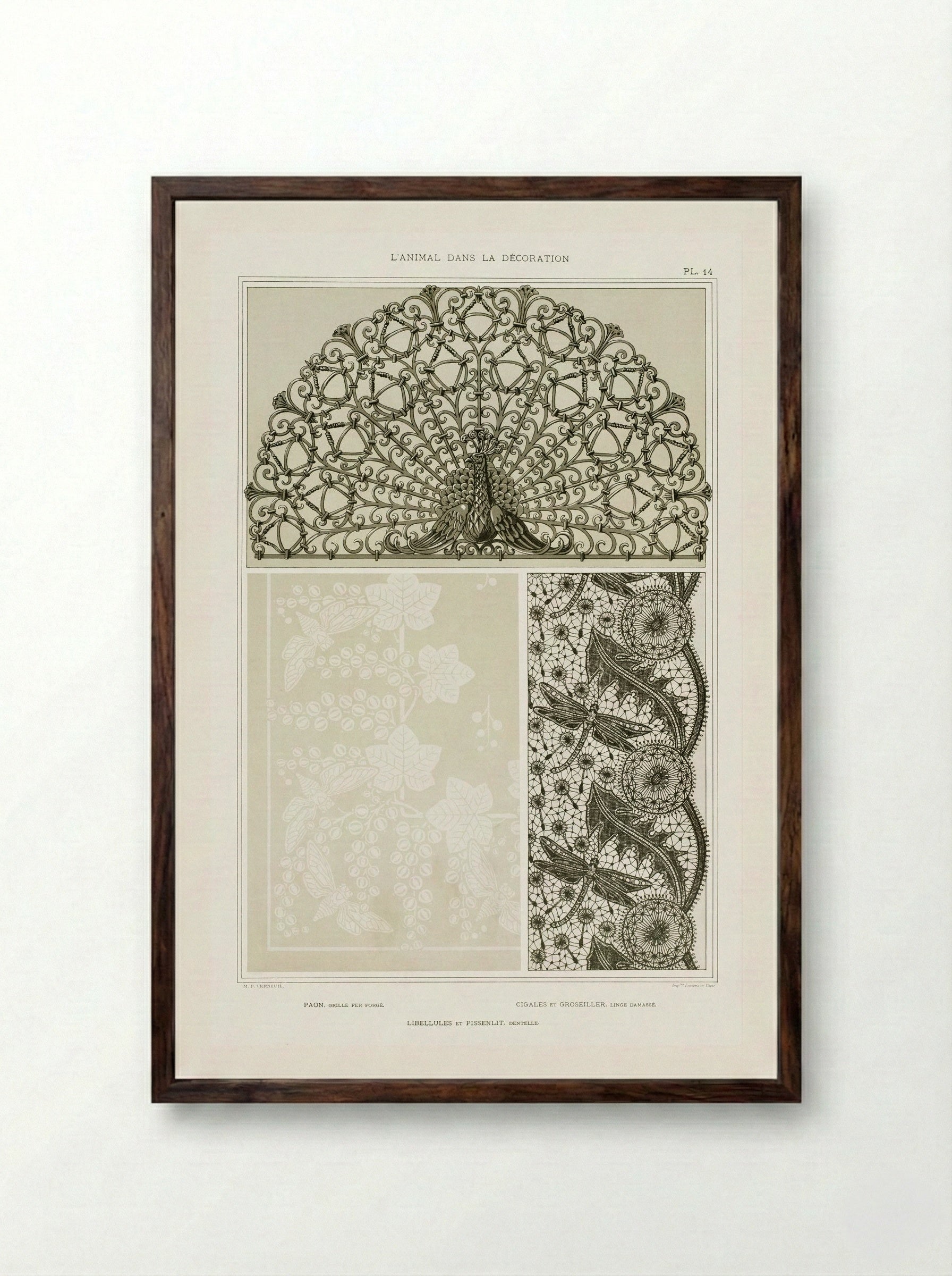 L'Animal dans la Décoration, Plate 14 (Peacock, Cicadas, Dragonflies) - Maurice Pillard Verneuil - Framed Print Dark Wood