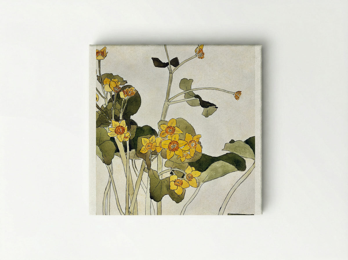 Marsh Marigold - Hannah Borger Overbeck - Canvas