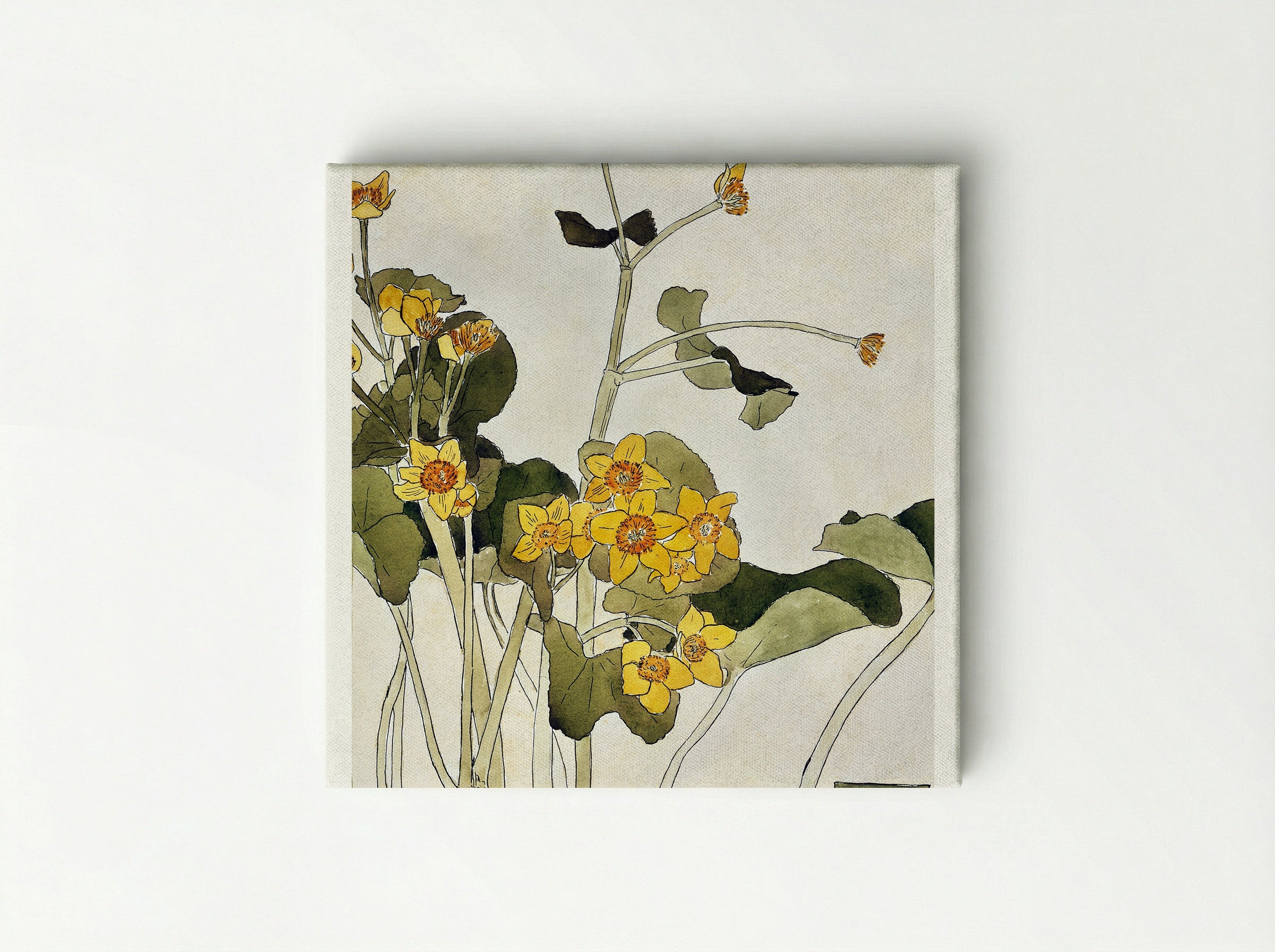 Marsh Marigold - Hannah Borger Overbeck - Canvas