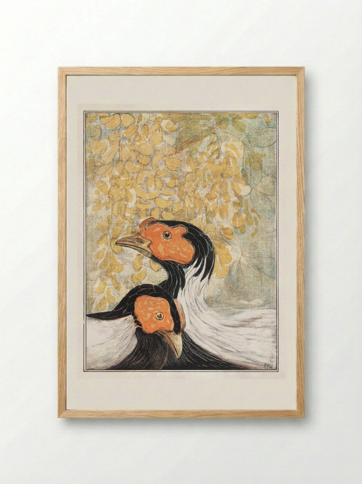 Two Silver Pheasants - Theo van Hoytema - Framed Print Wood