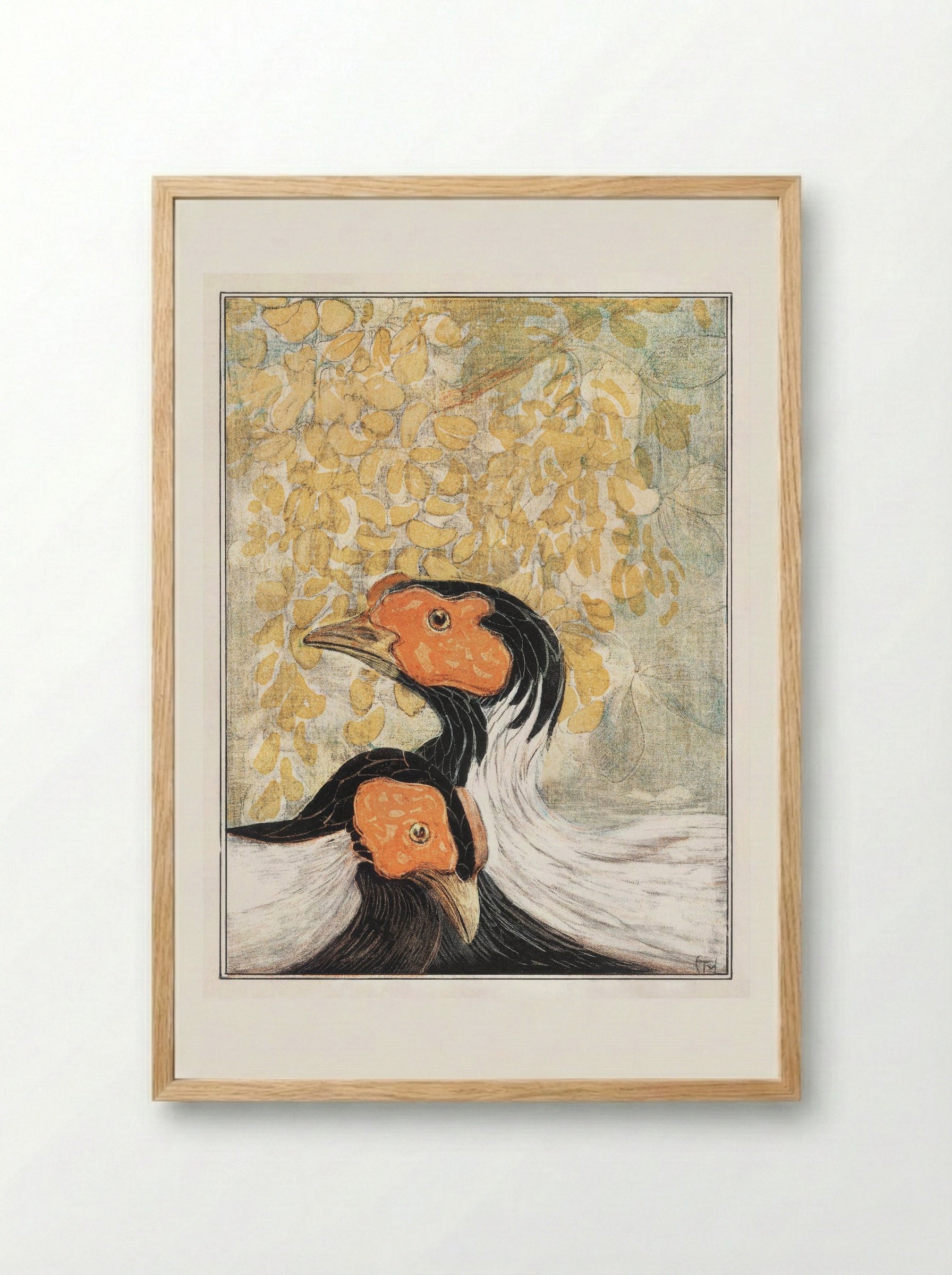 Two Silver Pheasants - Theo van Hoytema - Framed Print Wood