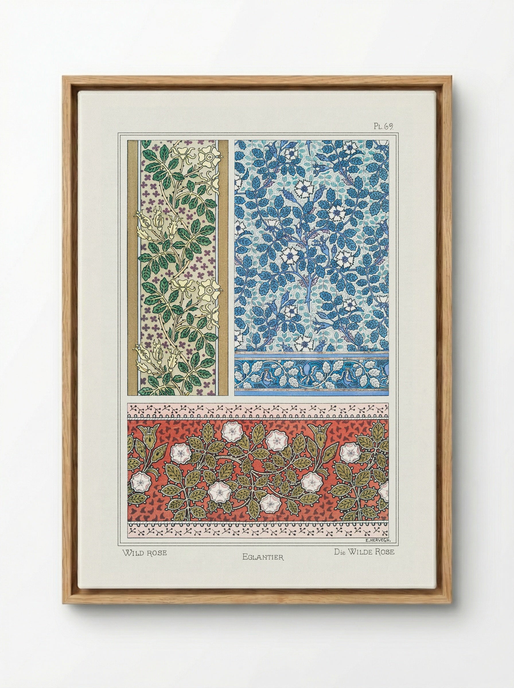 Eglantier (Wild Rose) from La Plante et ses Applications ornementales - Maurice Pillard Verneuil - Framed Canvas Wood