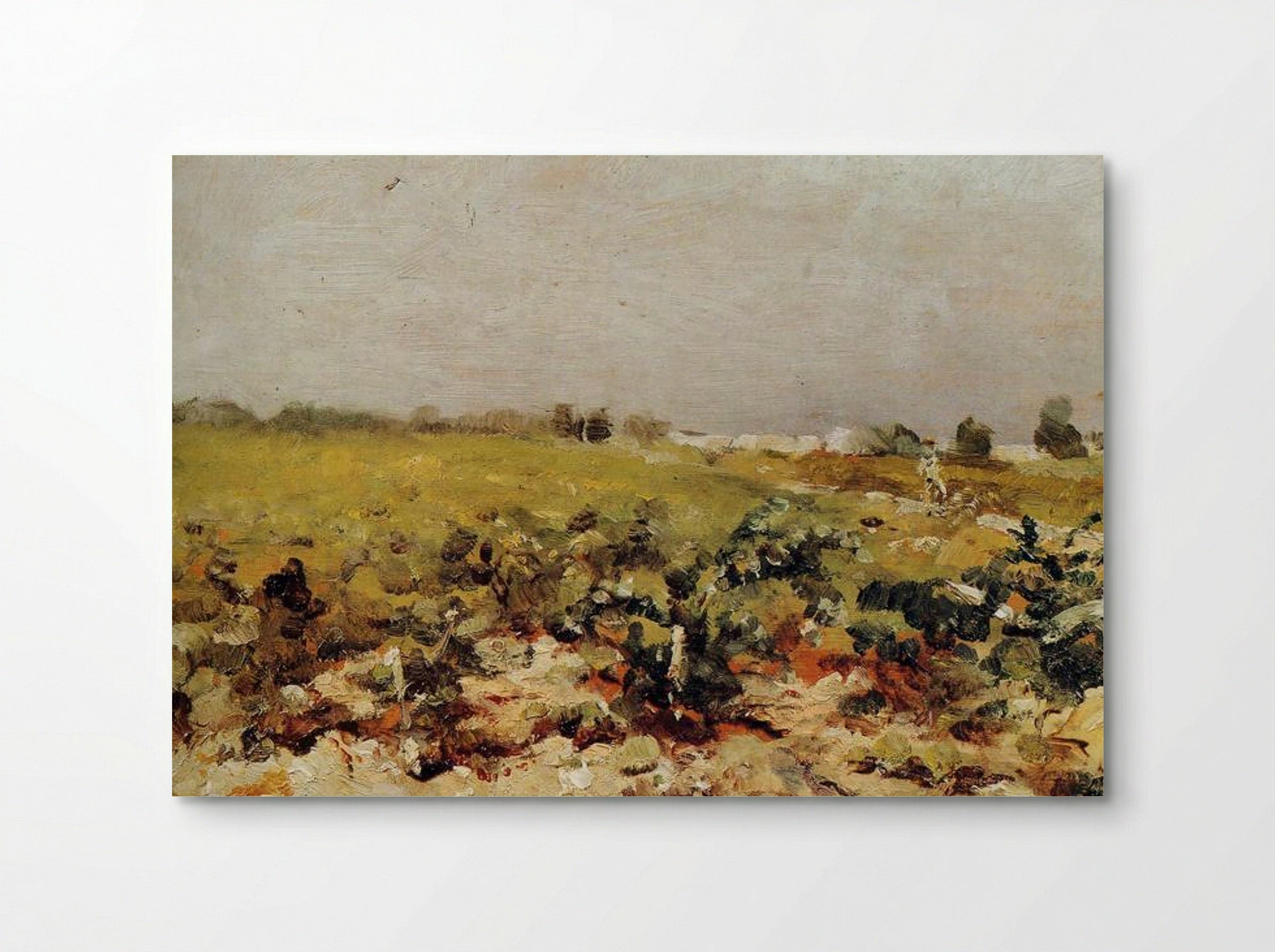 Céleyran, View of the Vineyards - Henri de Toulouse-Lautrec - Poster