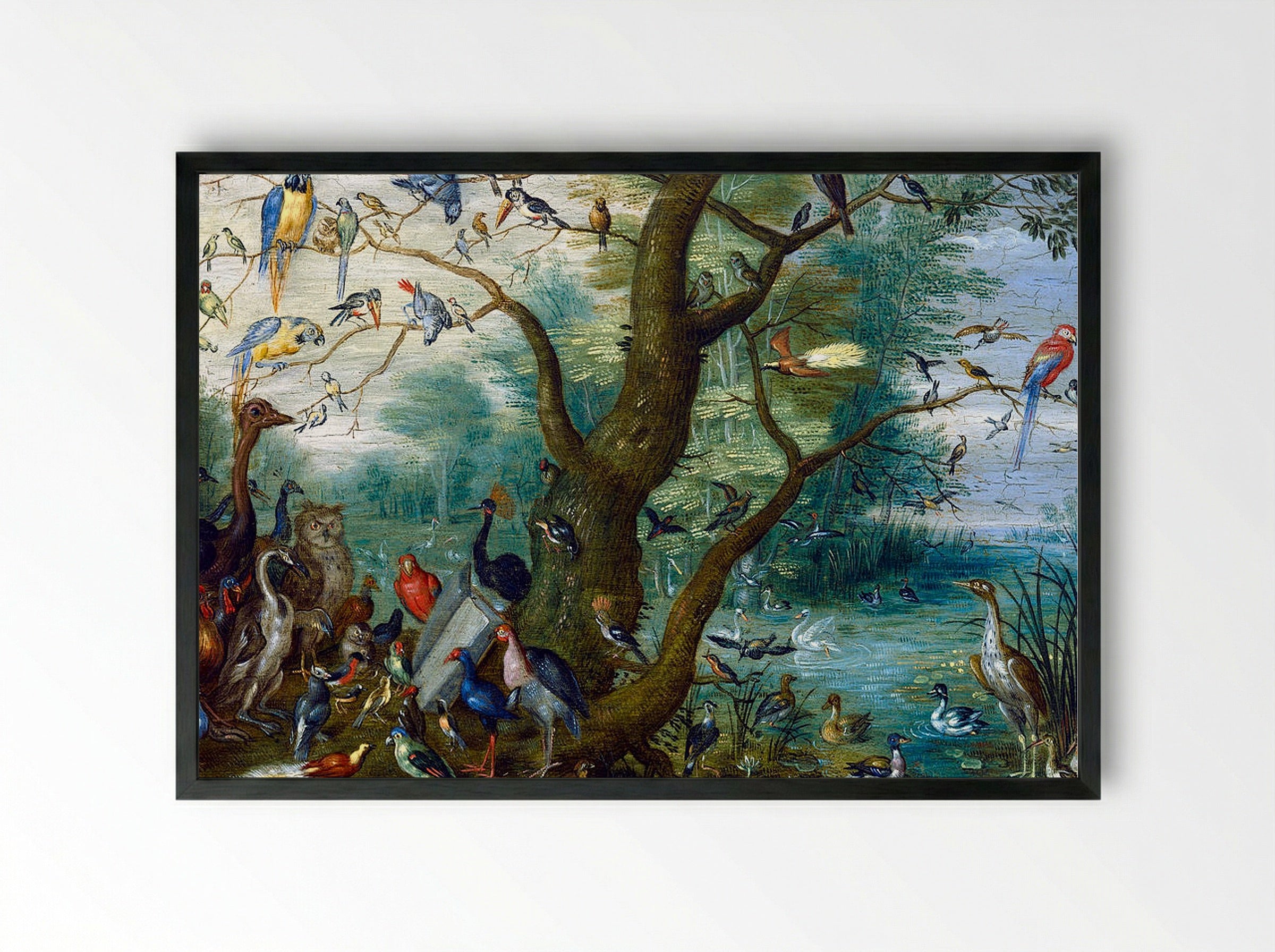 Concert of Birds - Jan van Kessel the Elder - Framed Print Black