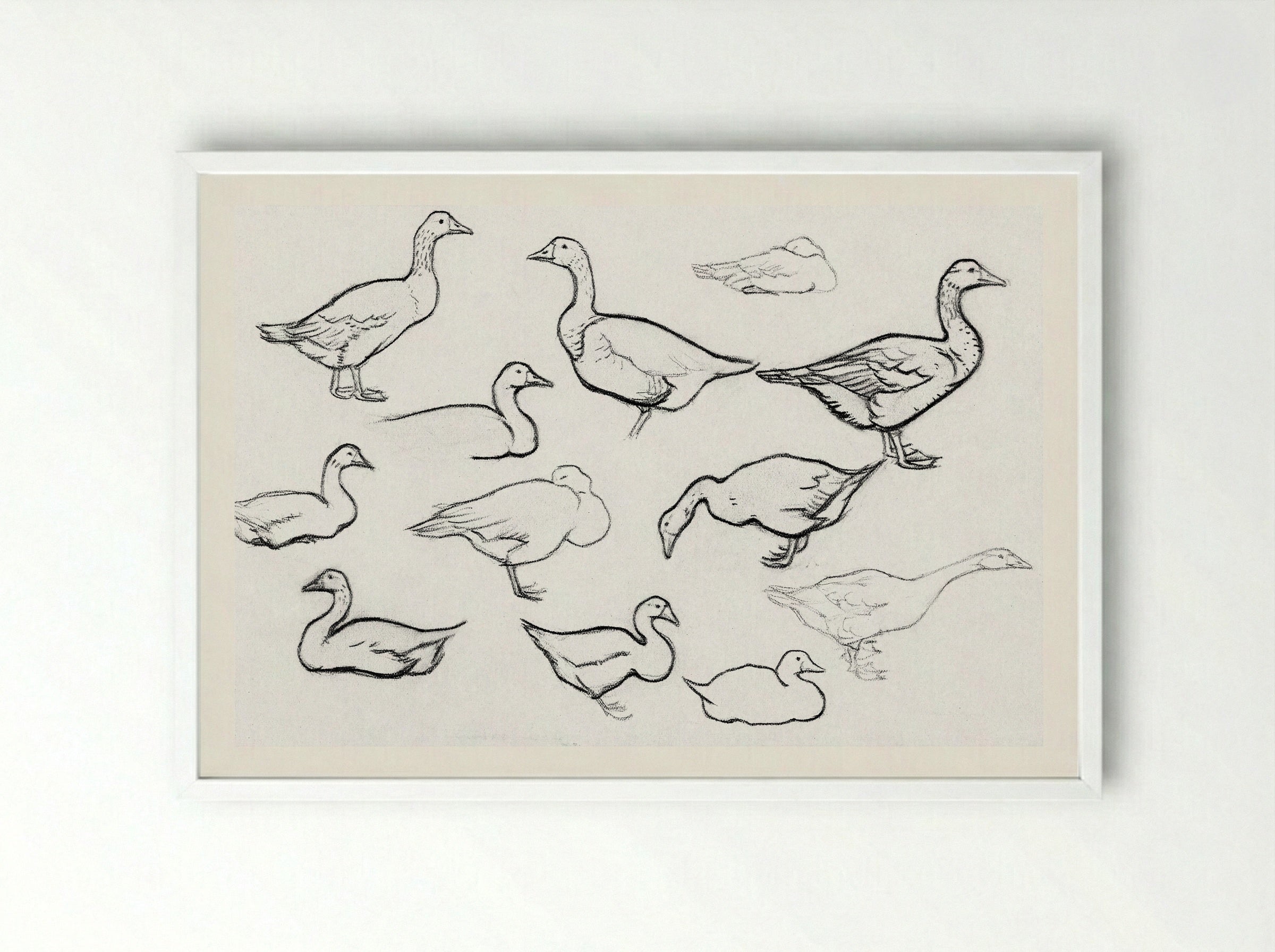 Study of Geese - Julie de Graag - Framed Print White