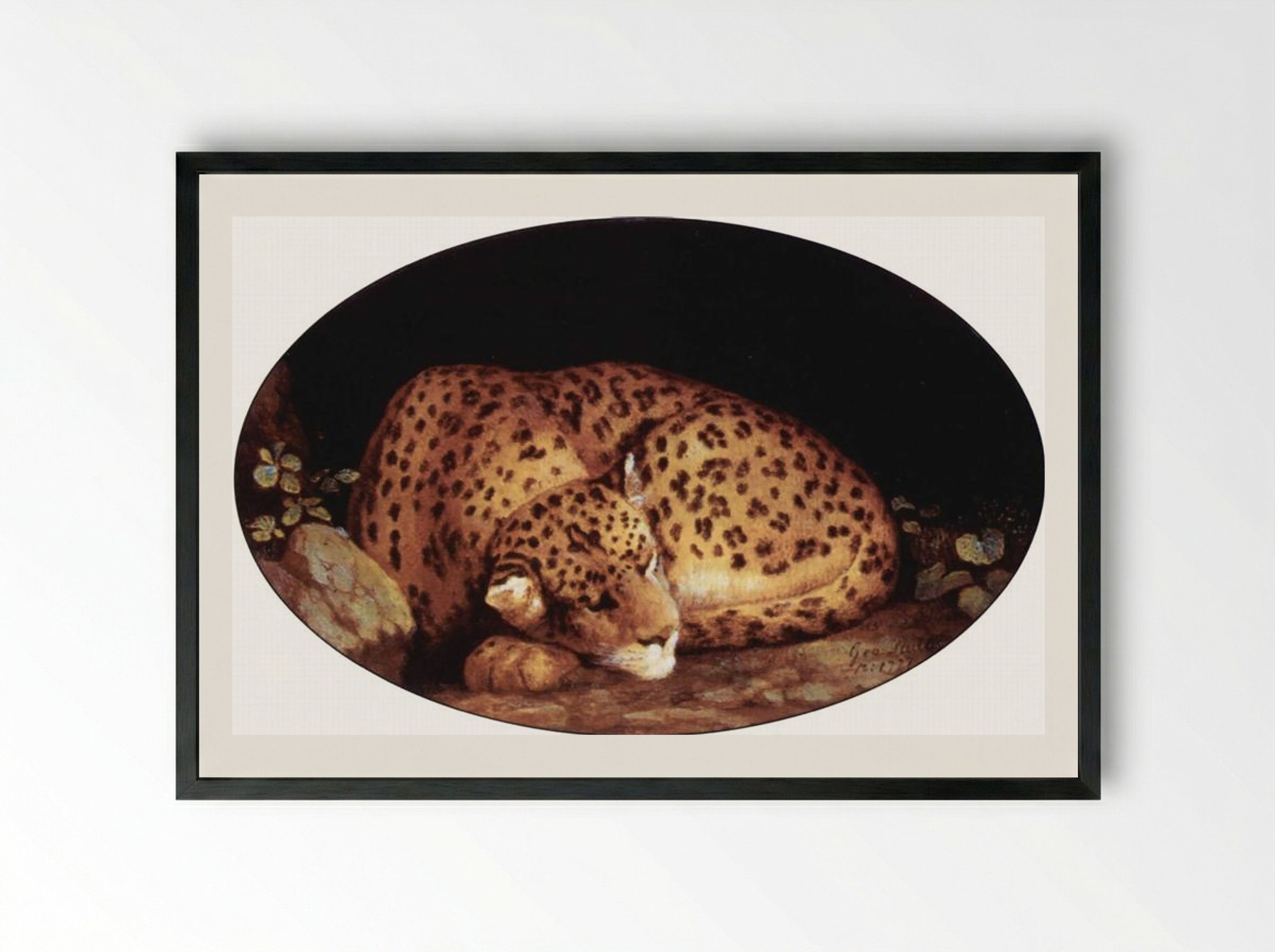 Sleeping Leopard - George Stubbs - Framed Print Black