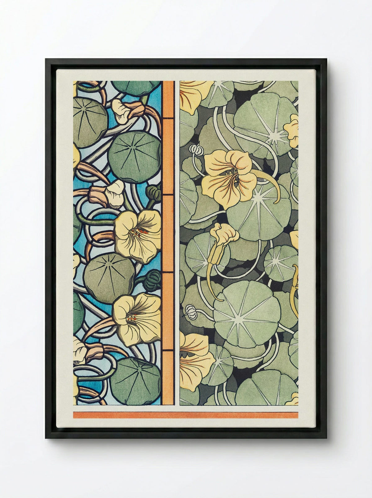 Capucine, from La Plante et ses Applications ornementales - Maurice Pillard Verneuil - Framed Canvas Black