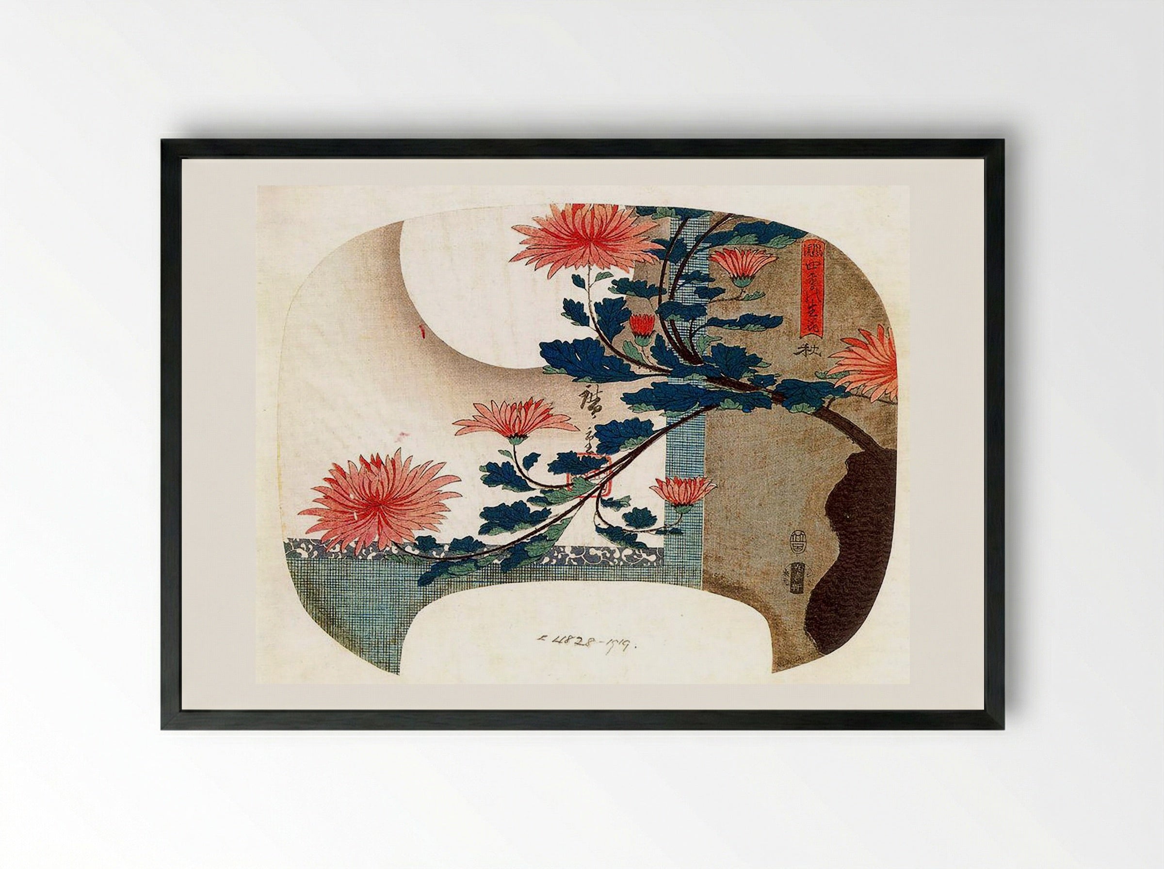 Chrysanthemums - Fine Art Print - Framed Print Black