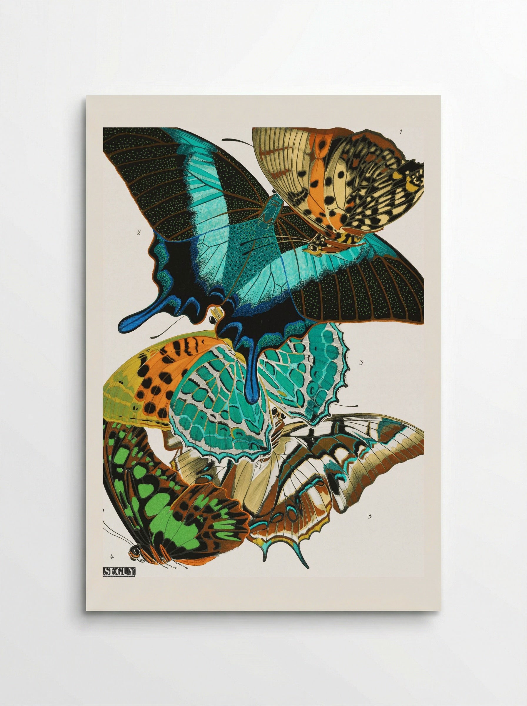 Butterflies (Plate 13) - Eugène Alain Séguy - Poster