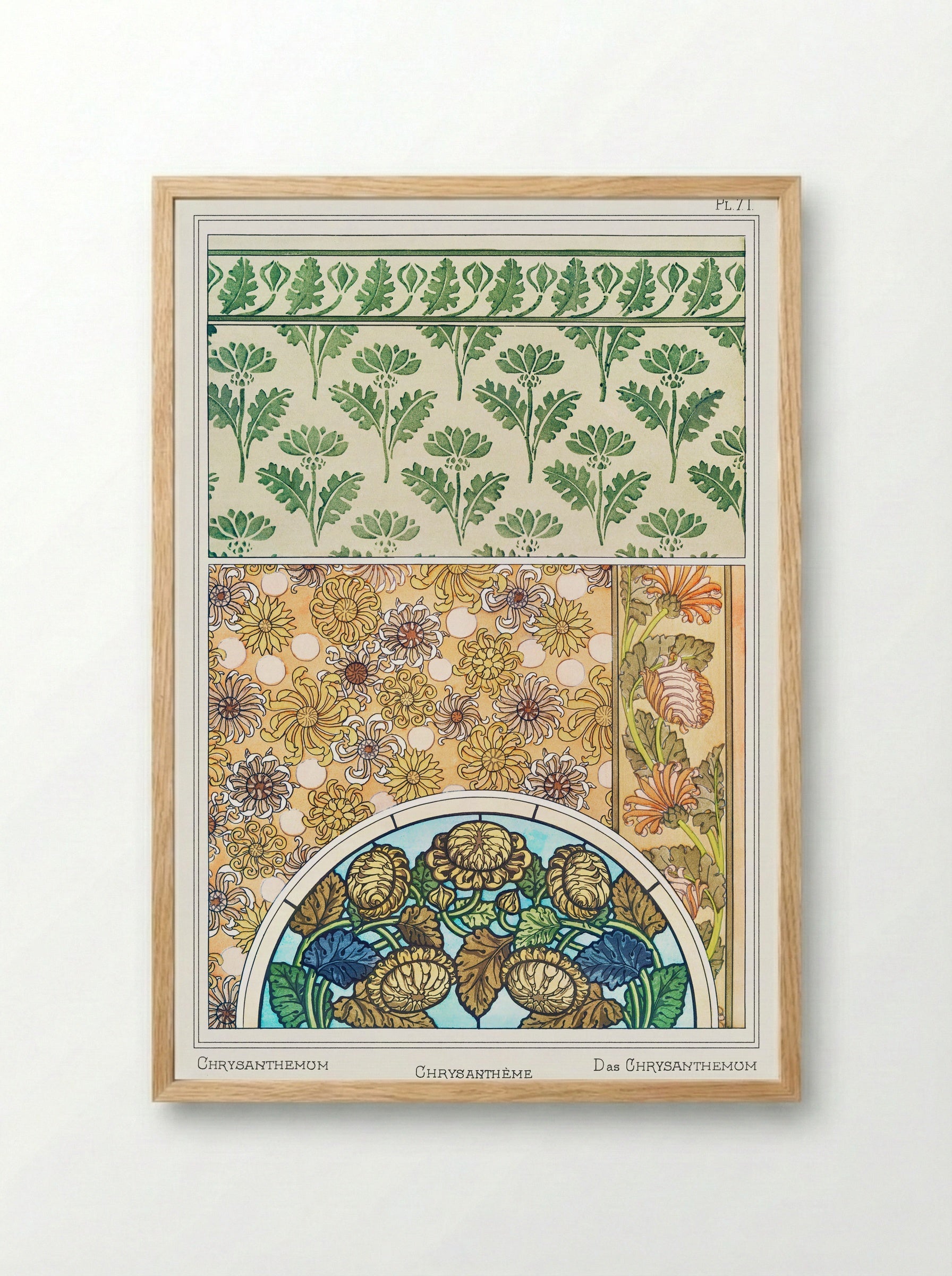 Chrysanthème (Chrysanthemum) from La Plante et ses Applications ornementales - Maurice Pillard Verneuil - Framed Print Wood