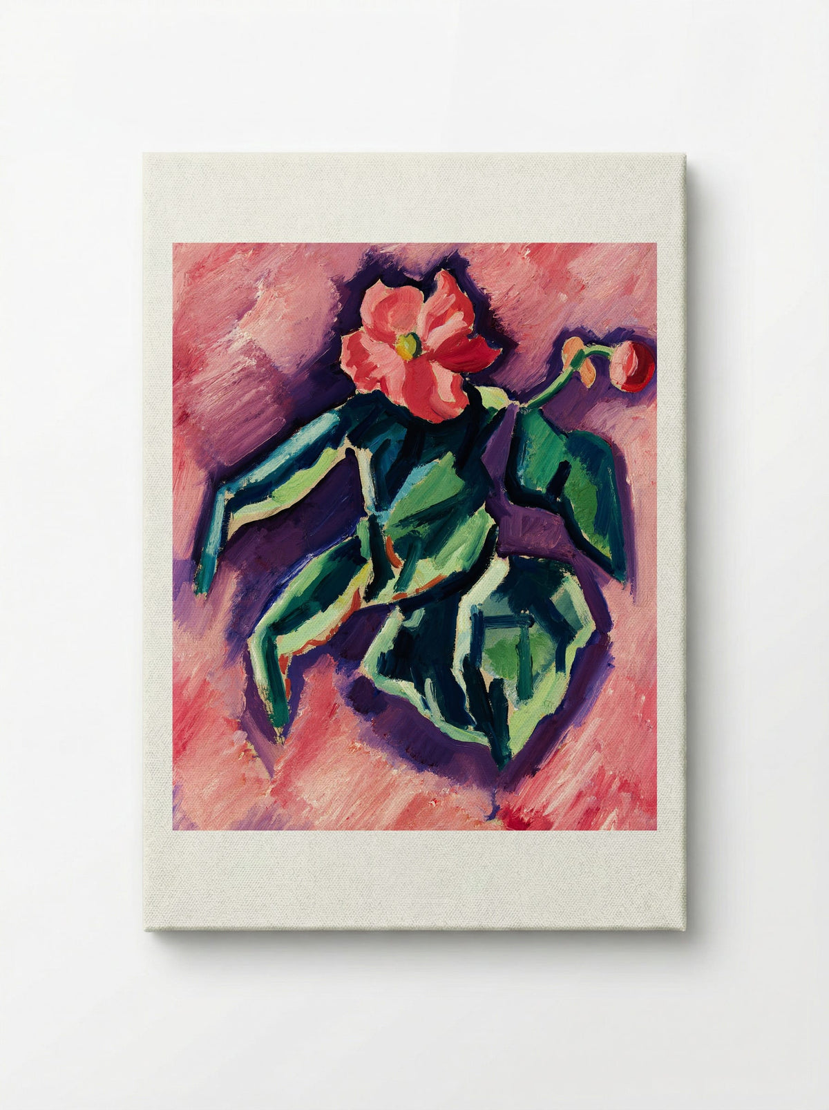Pink Begonias - Marsden Hartley - Canvas