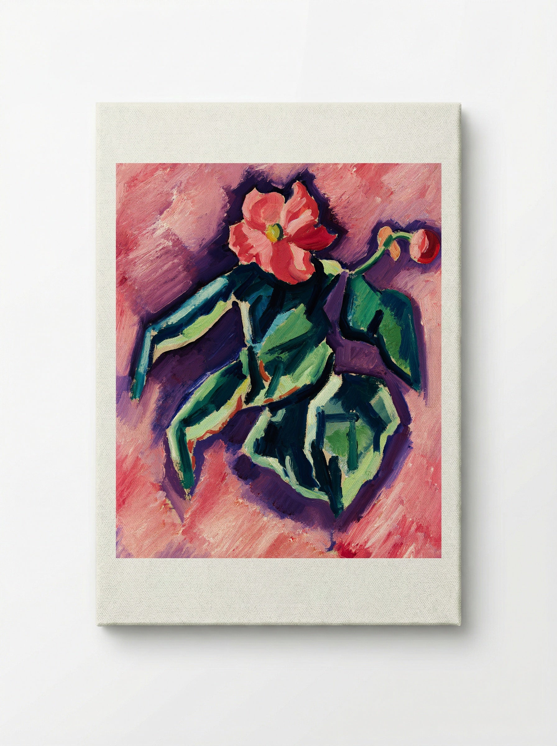 Pink Begonias - Marsden Hartley - Canvas