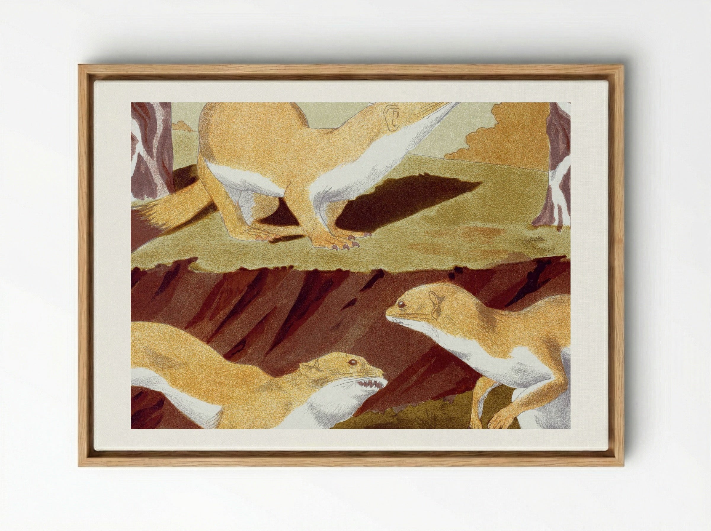 Hermines Vulgaires (Common Stoats) - Maurice Pillard Verneuil - Framed Canvas Wood